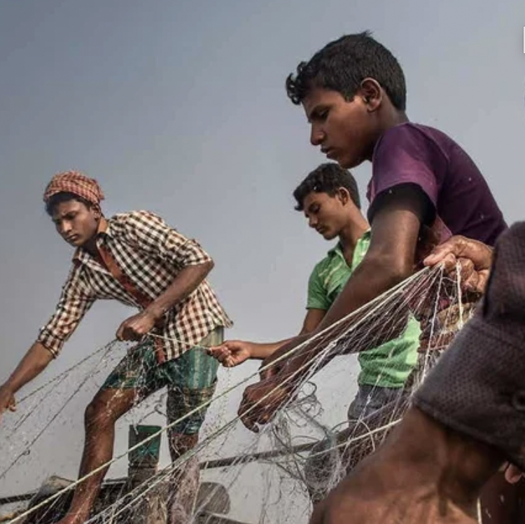 Content & Storytelling