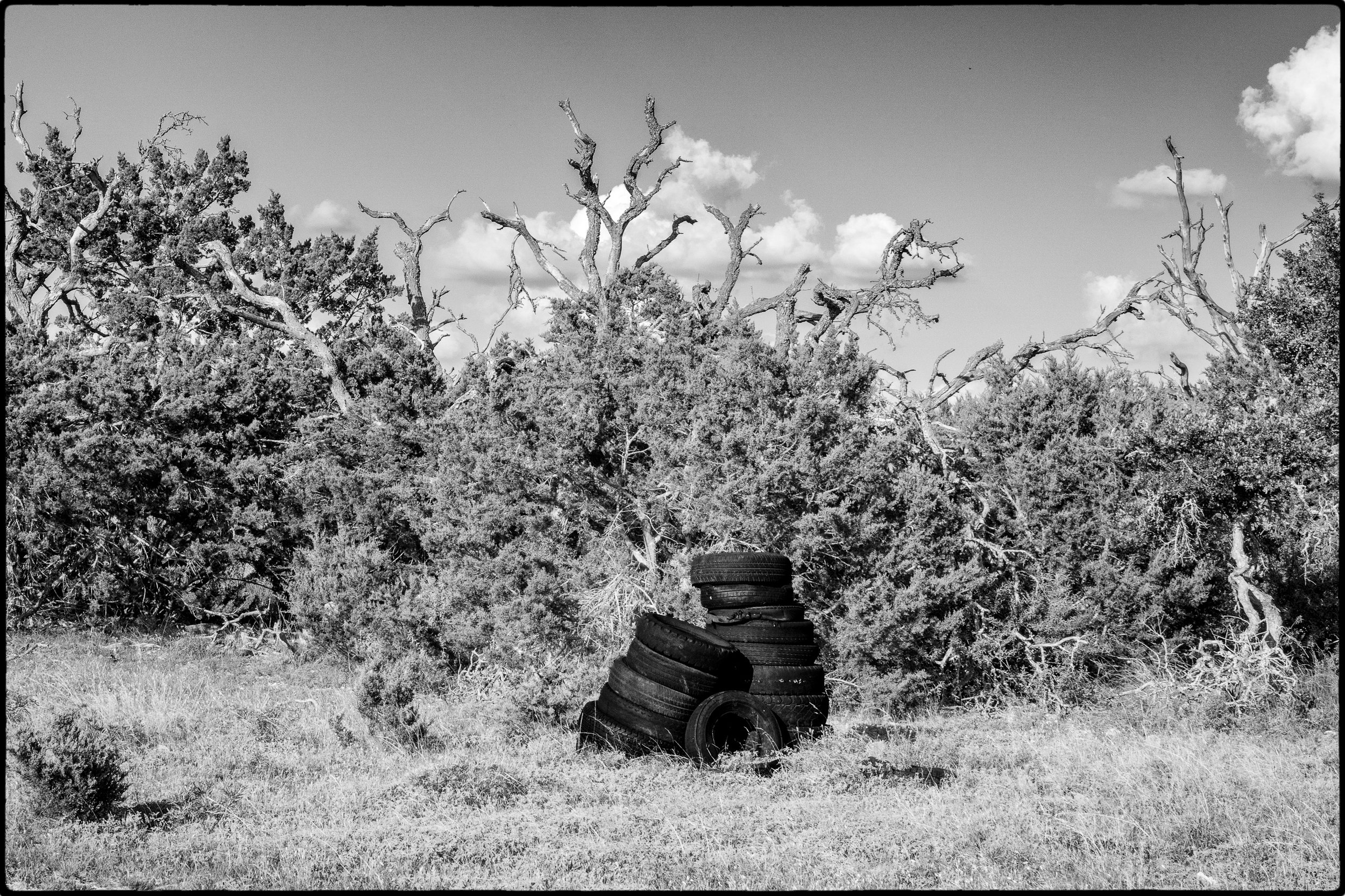 DSC03253 copy-Edit.jpg