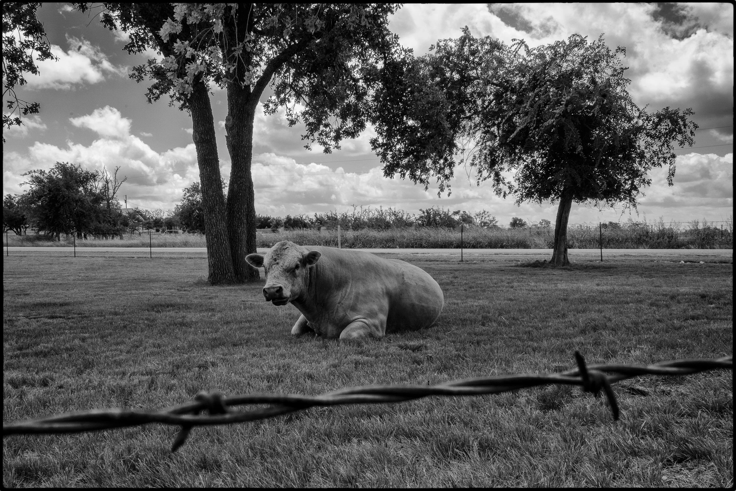 DSC03298 copy-Edit.jpg