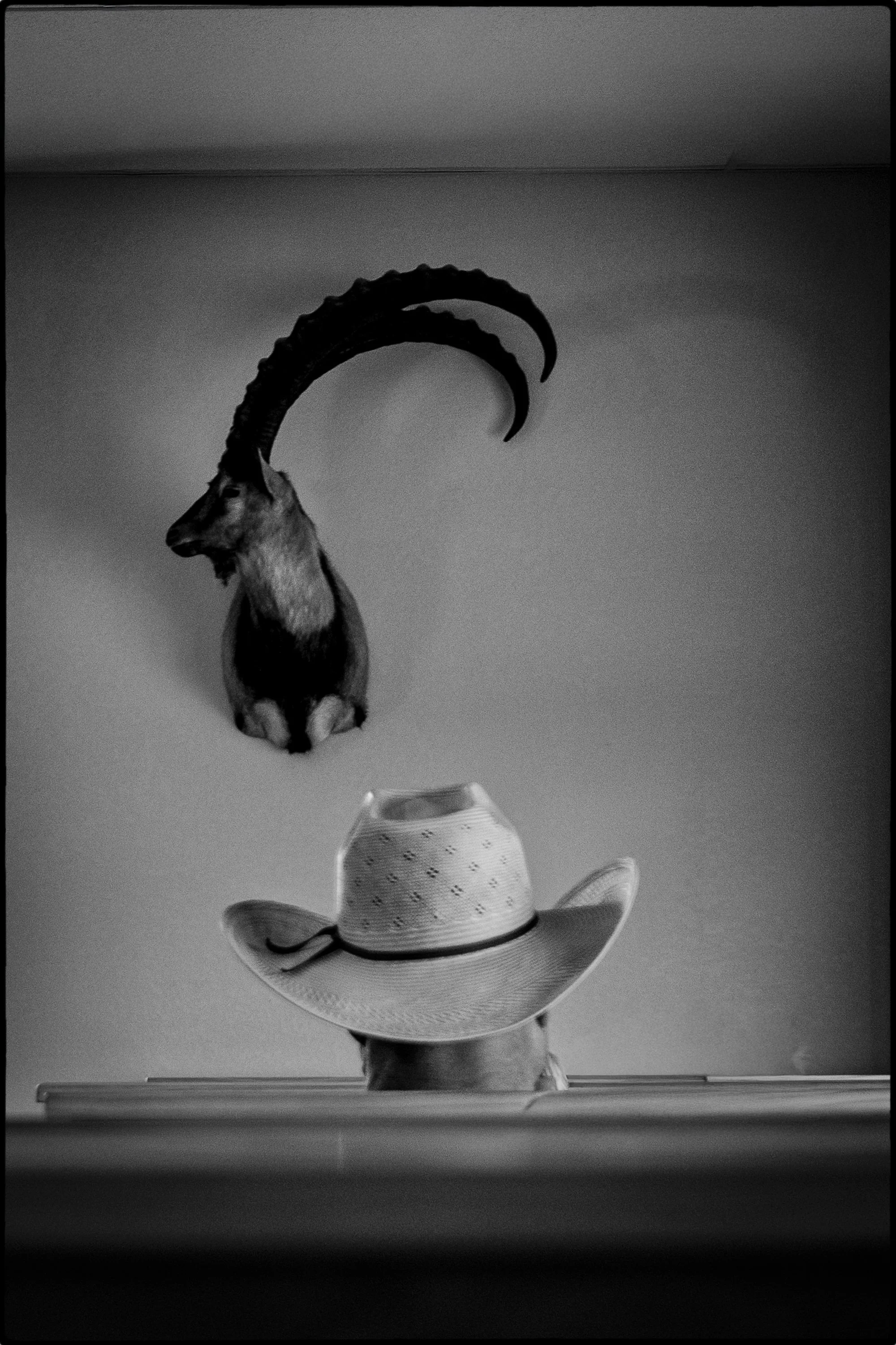 DSC03305 copy-Edit-Edit.jpg