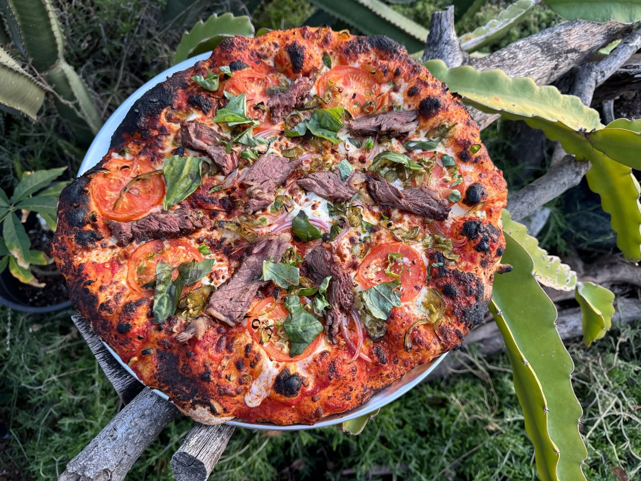 IMG-20250218-WA0006 - Copy.jpg