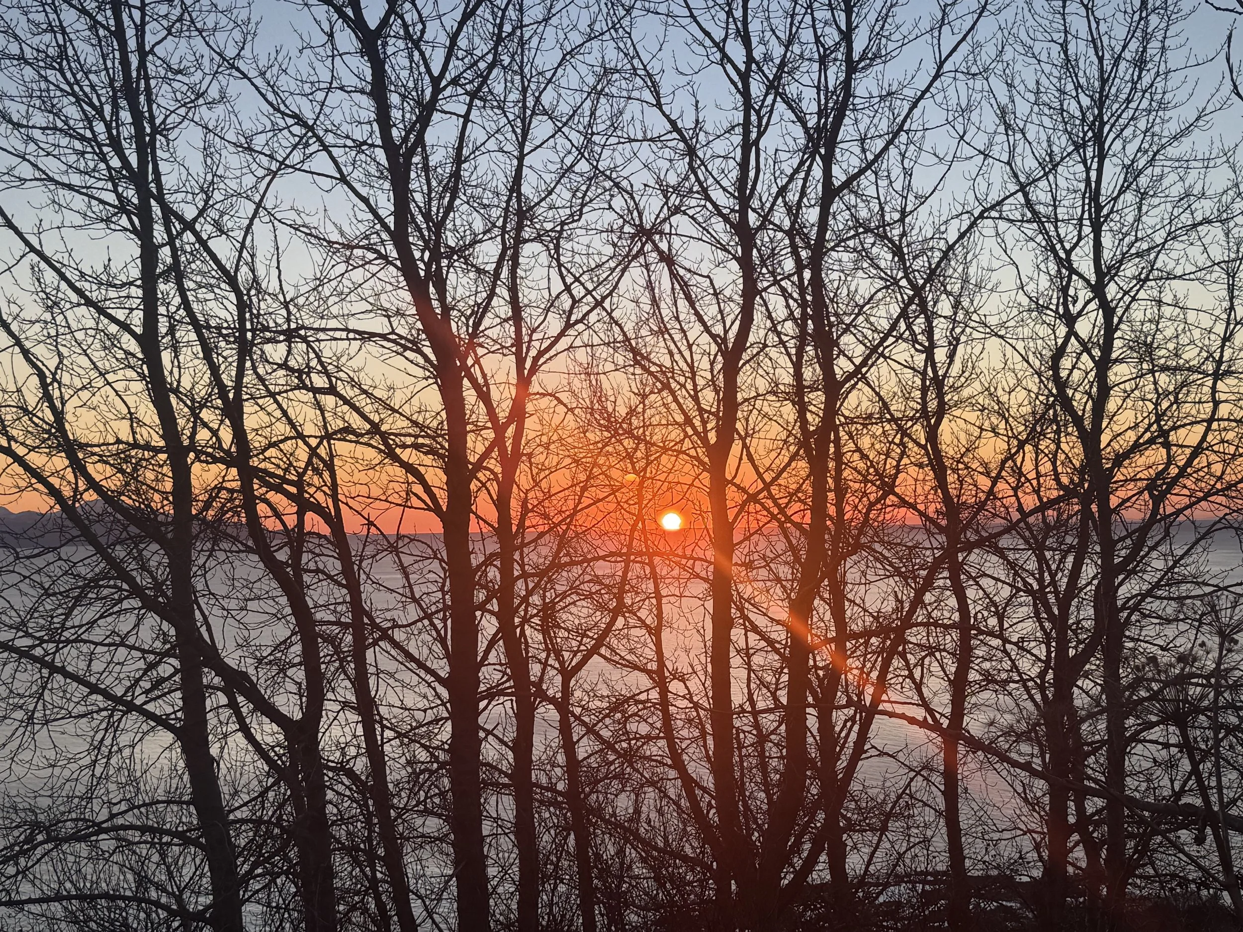 The image shows a sunset view through a group of leafless trees, with the sun partially visible near the horizon and colorful sky with shades of blue, orange, and pink.