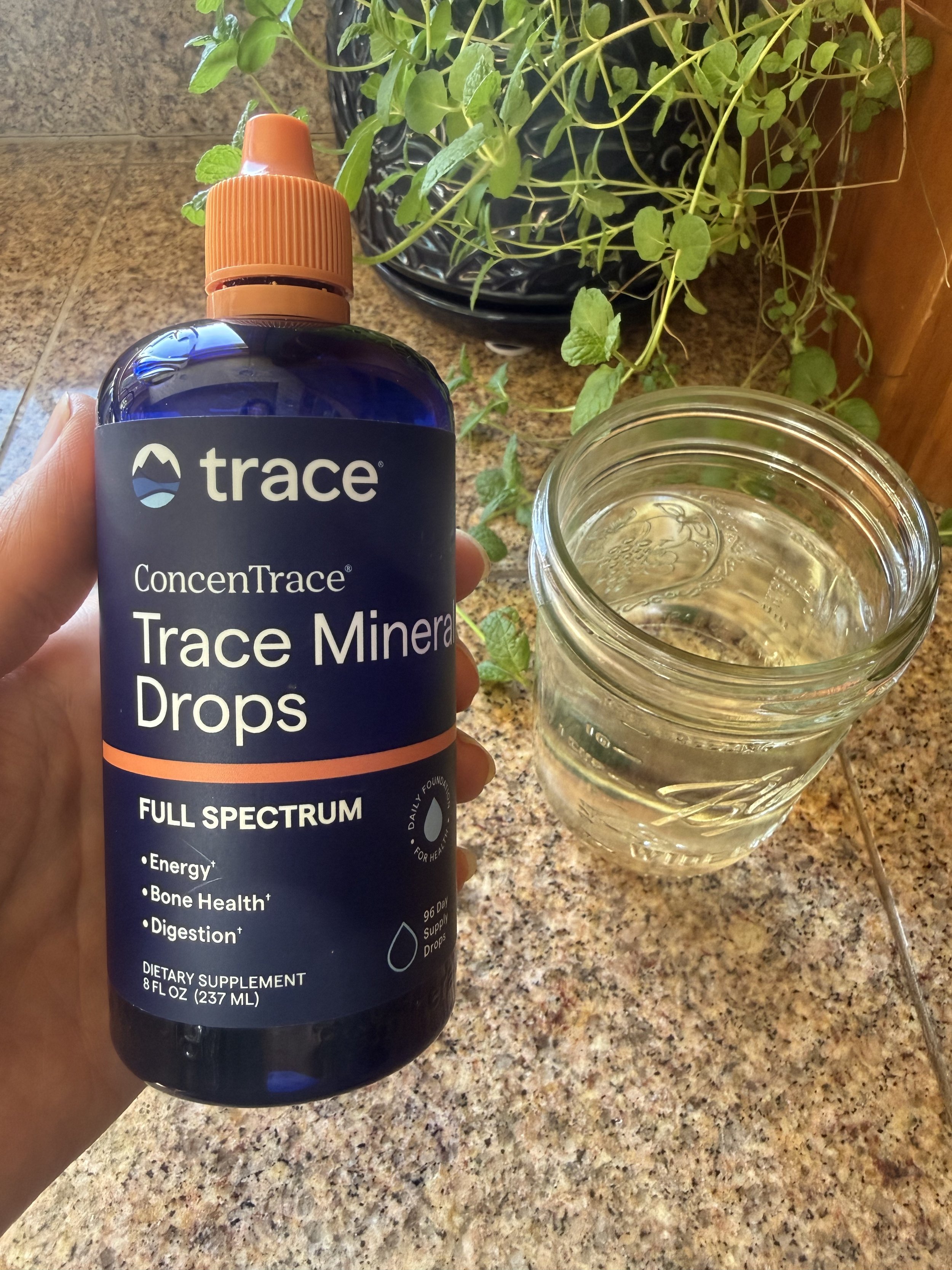 Trace Mineral Drops - Supplement