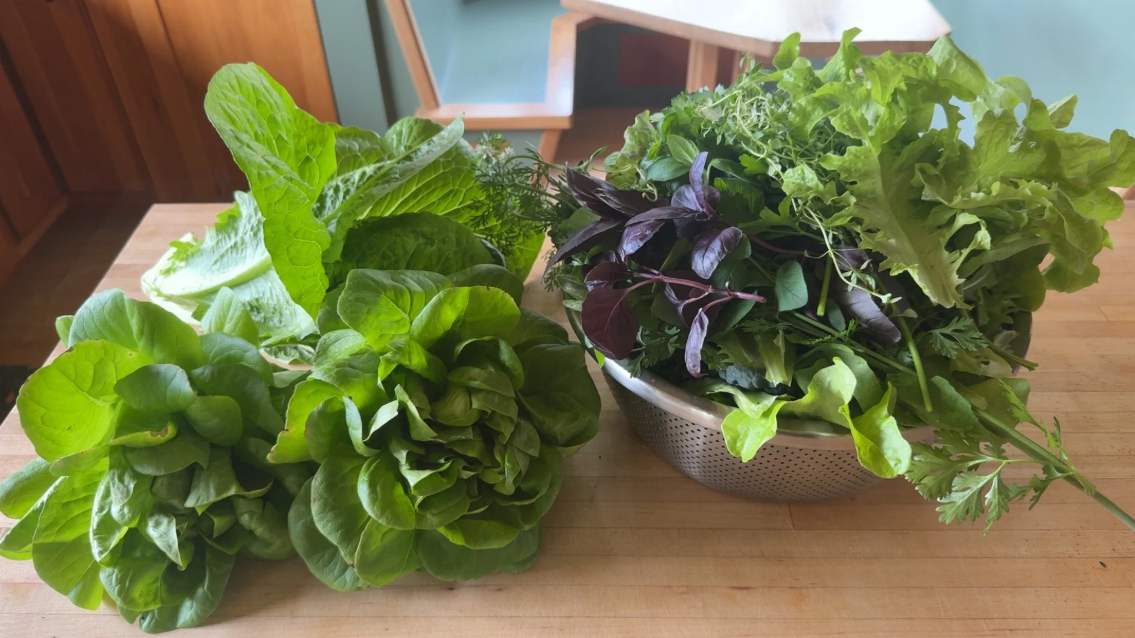 6 Daily Health Habits That Keep My Biological Age 14 Years Younger