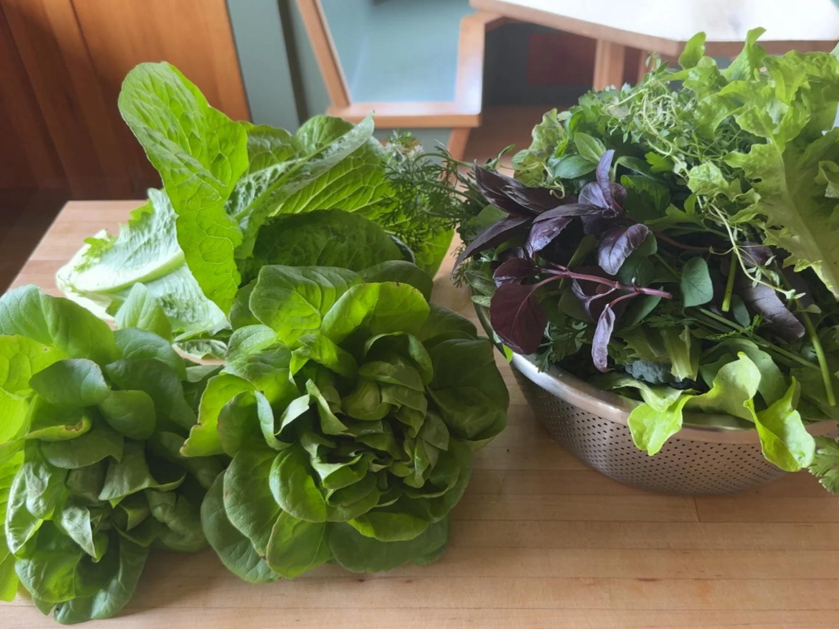 Fresh assorted leafy greens, including lettuce and herbs, on a wooden table.