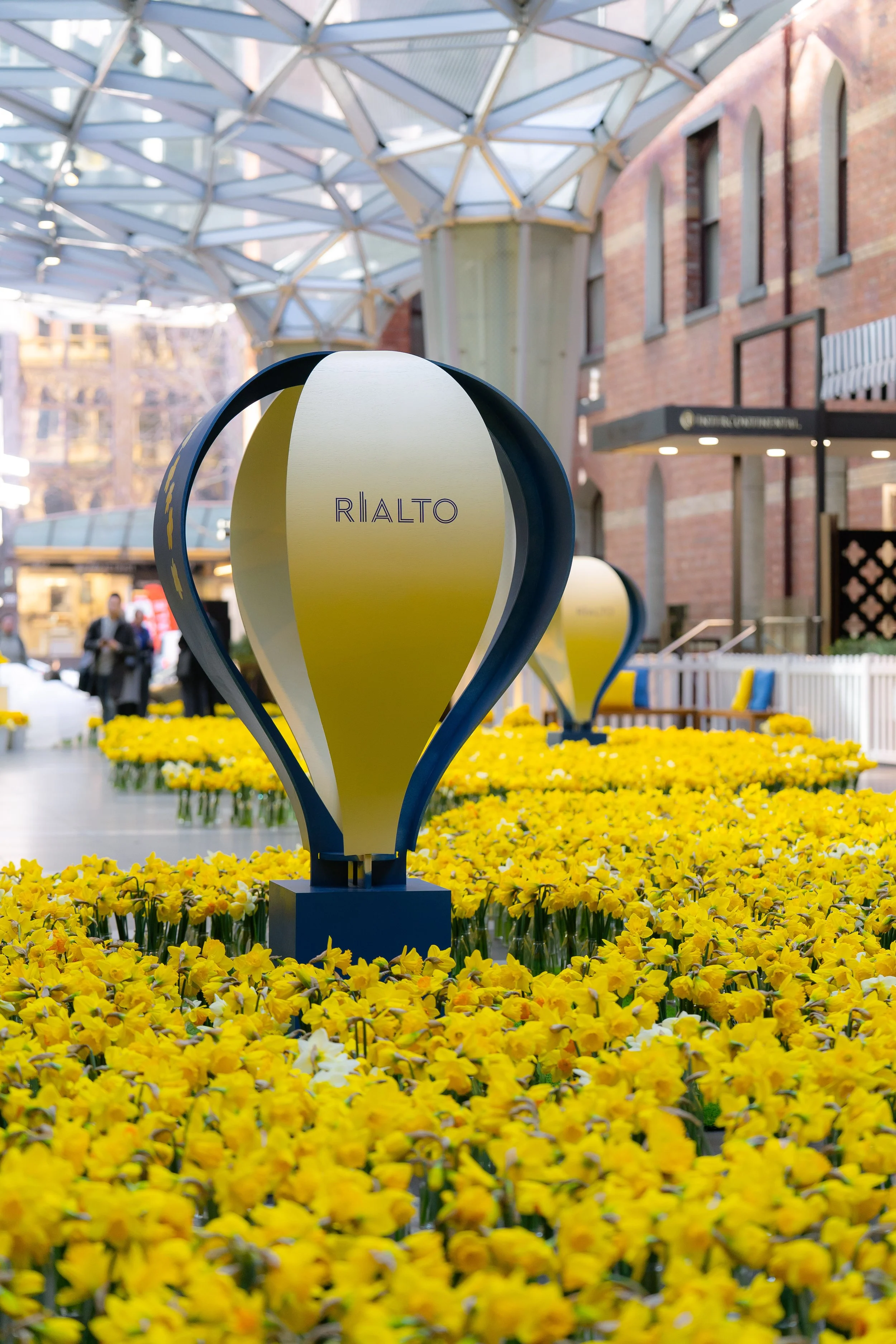 Daffodil Day: Rialto Melbourne