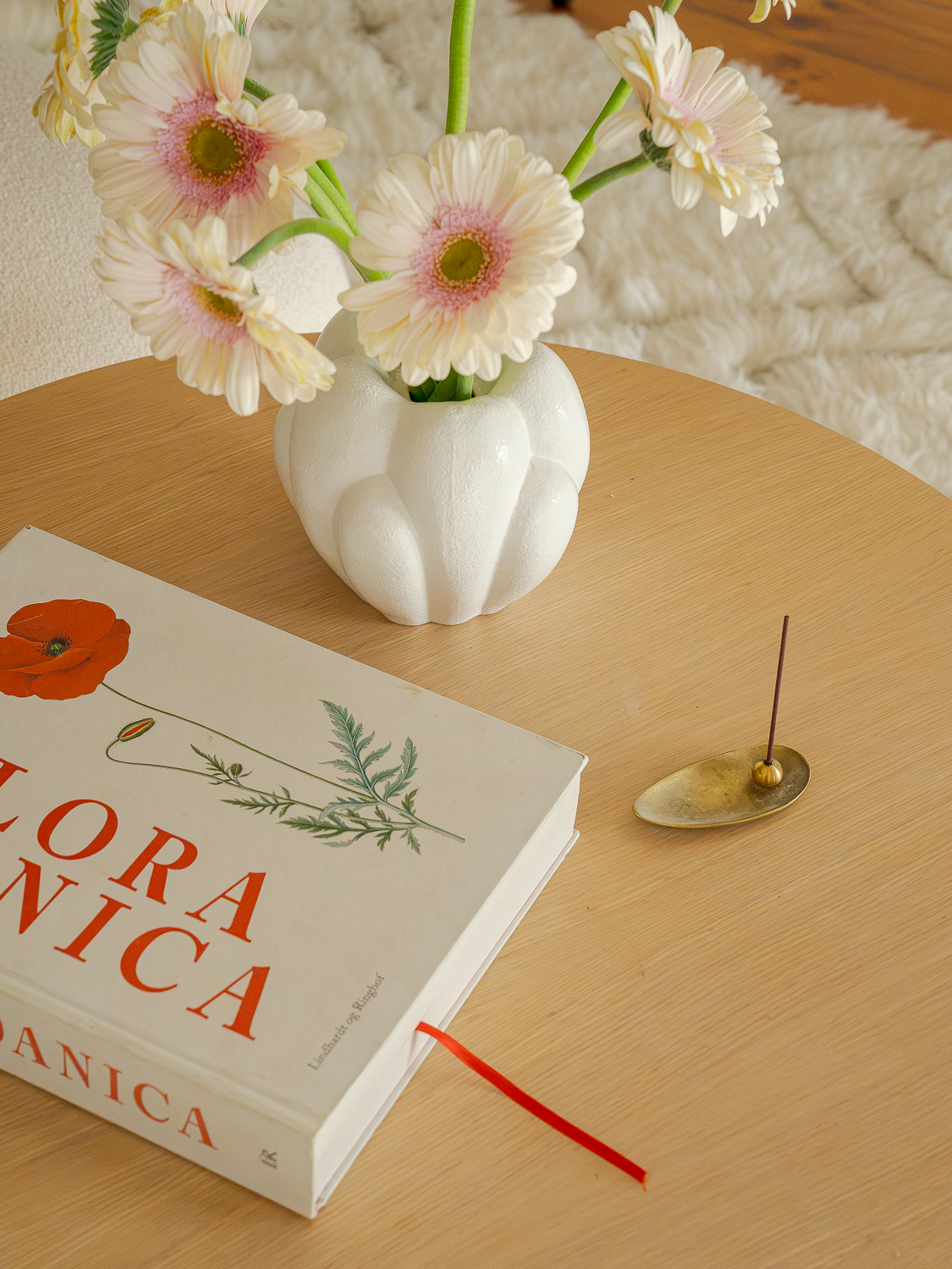 DSC09073_SilasHarris.png