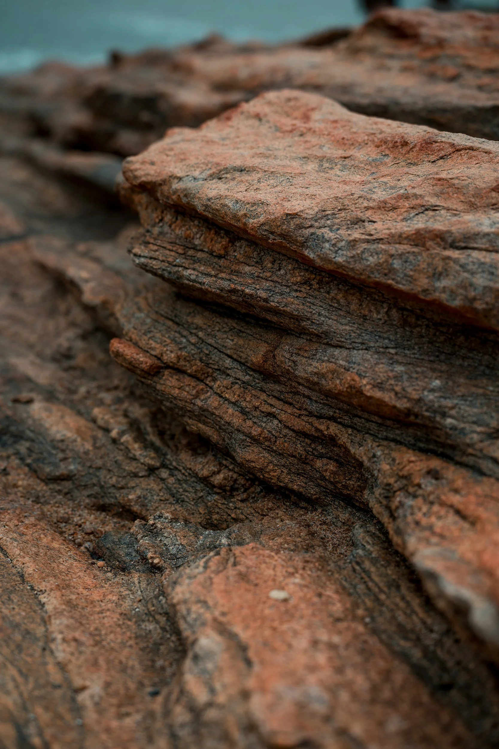 Close-up of layered reddish-brown rocks on the ground.
