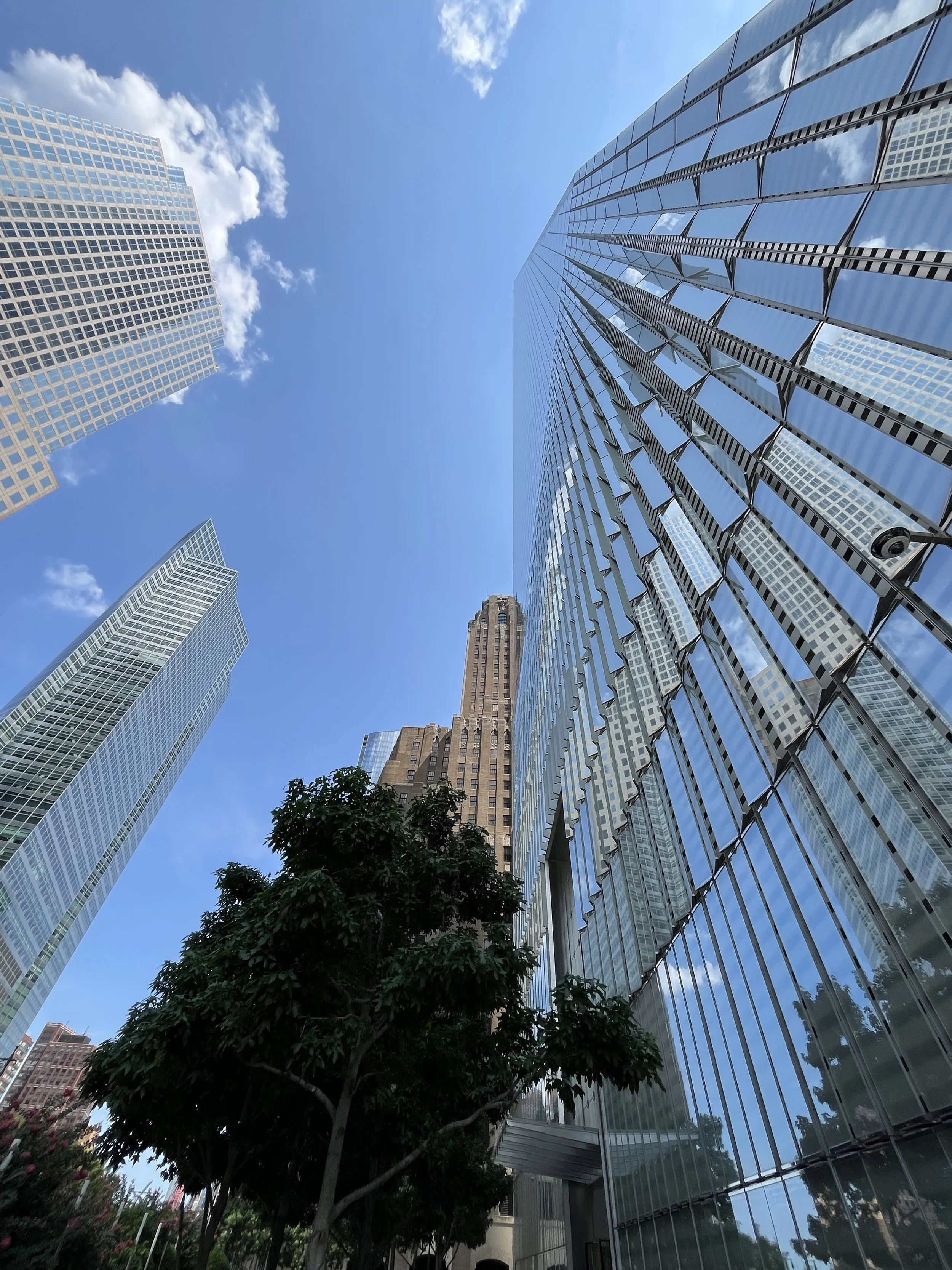 Low-angle view of tall skyscrapers with glass facades reflecting the blue sky and some clouds, with a tree in the foreground.