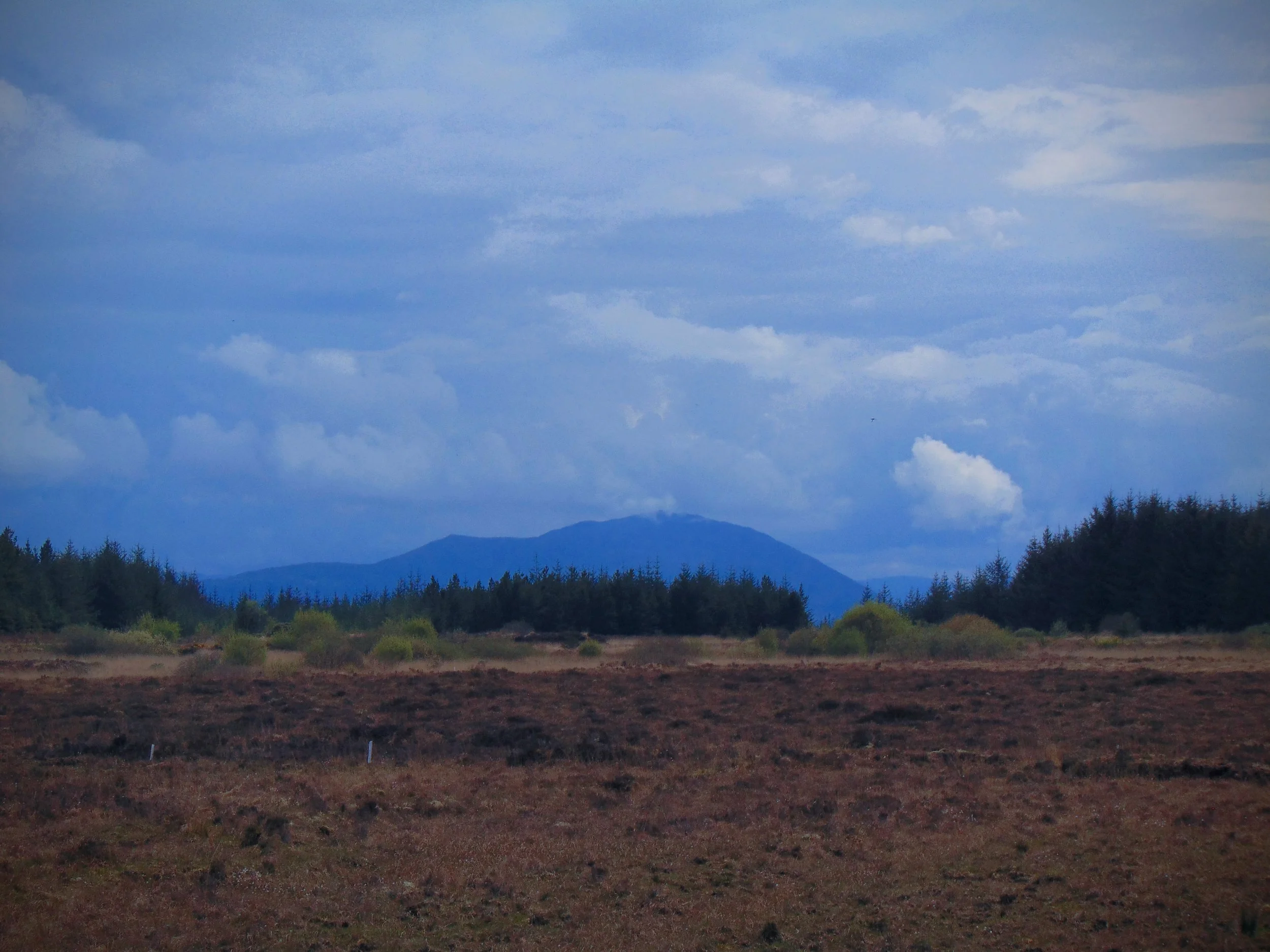 DSC04882.JPG