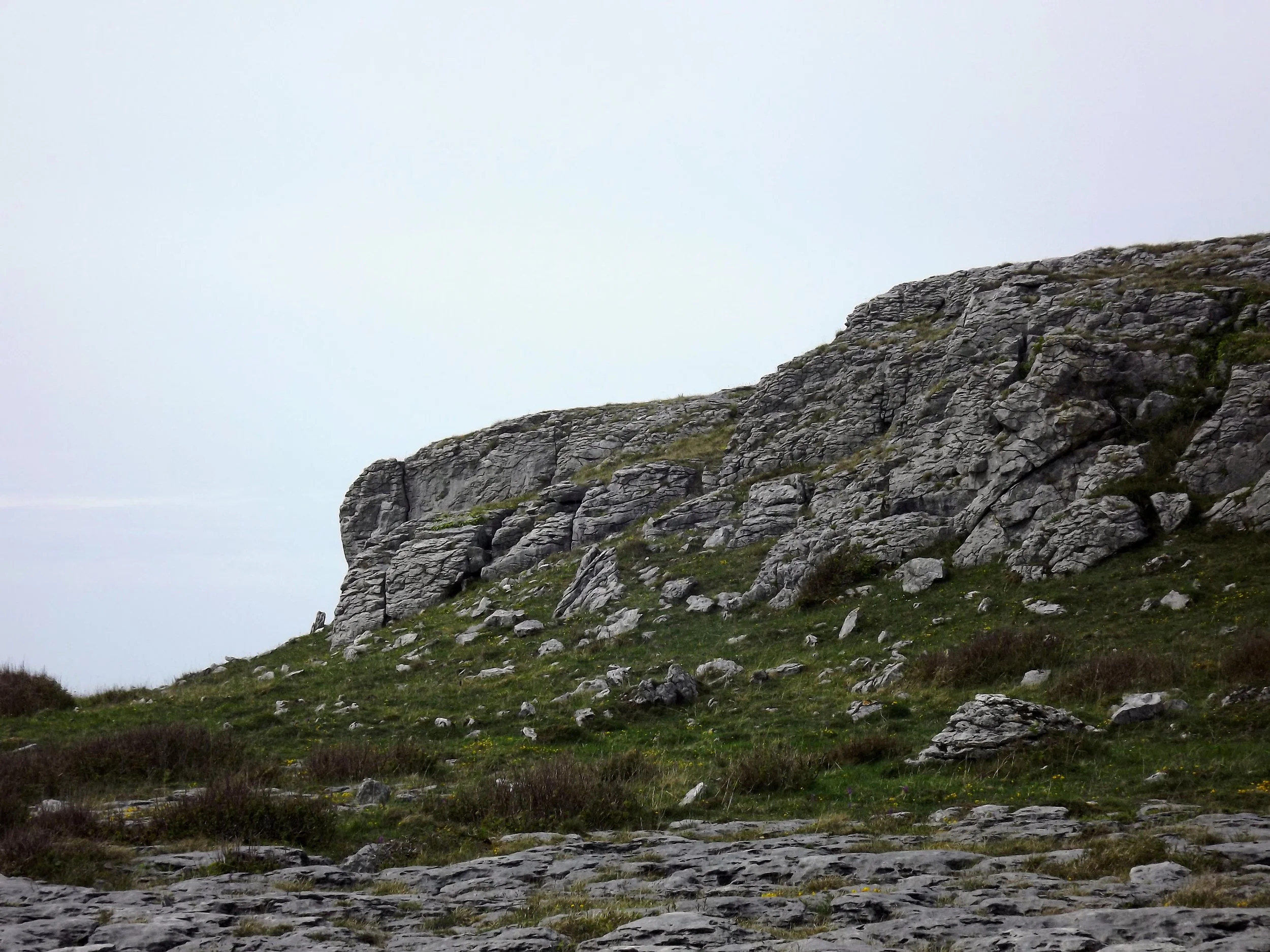 A rocky hillside with sparse green grass and shrubs, under a cloudy sky.