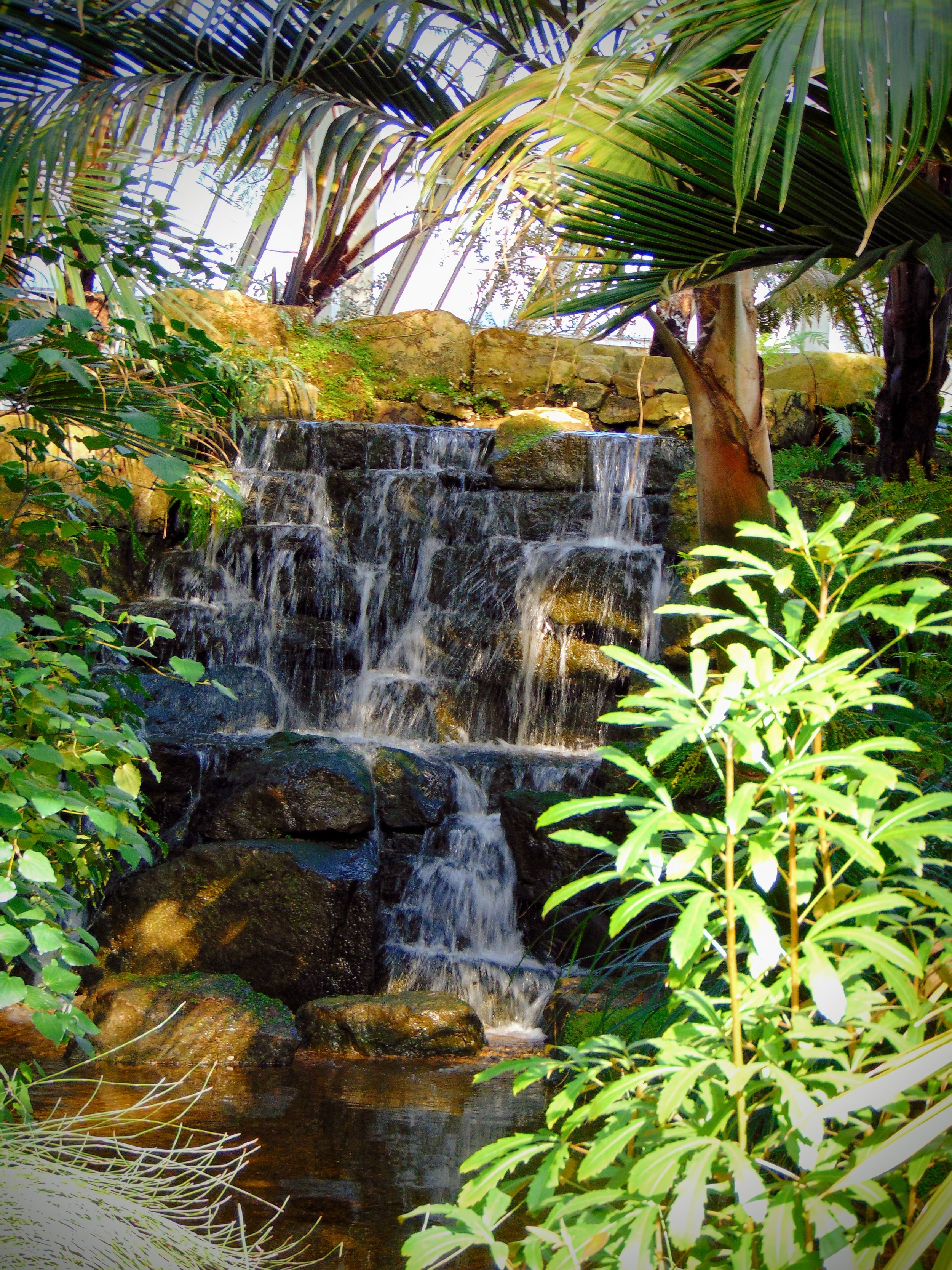 DSC04743.JPG
