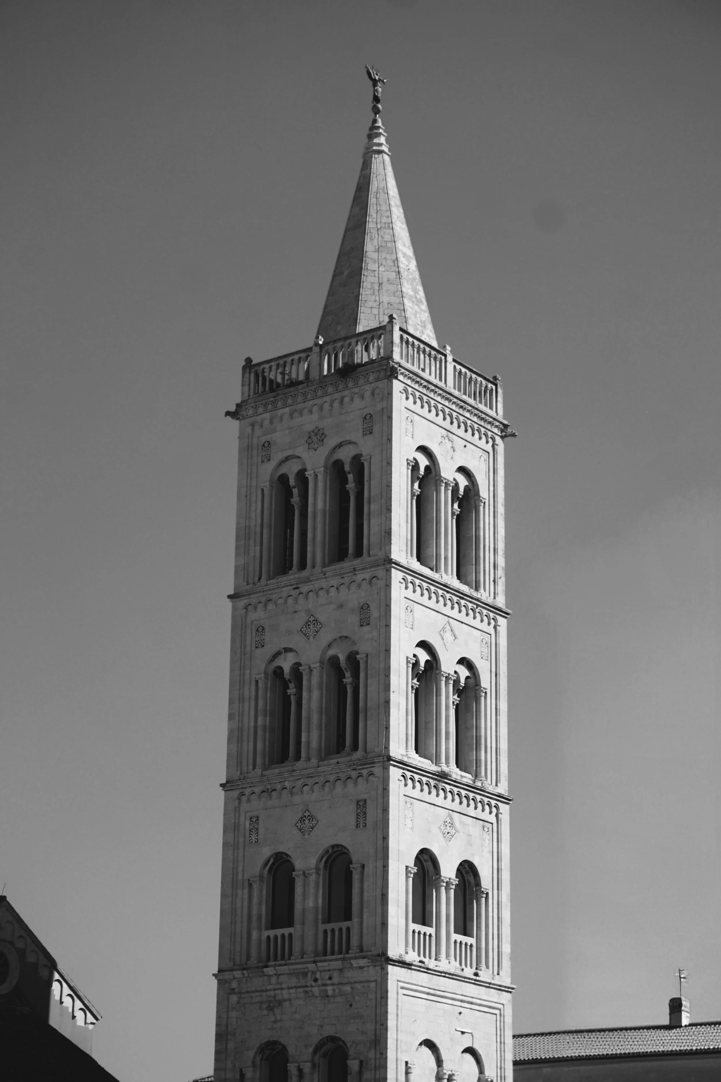 DSC01072~2.JPG