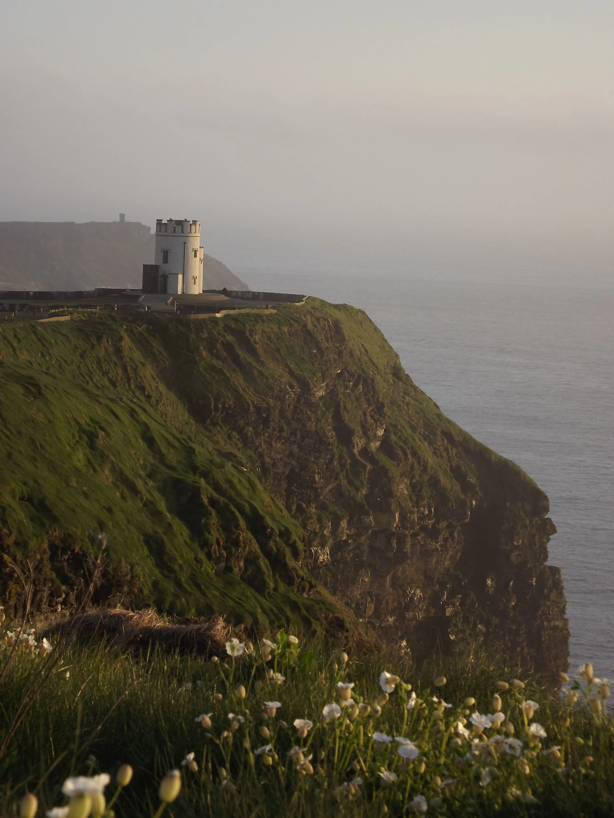 A castle on a grassy cliff overlooking the ocean with flowers in the foreground.