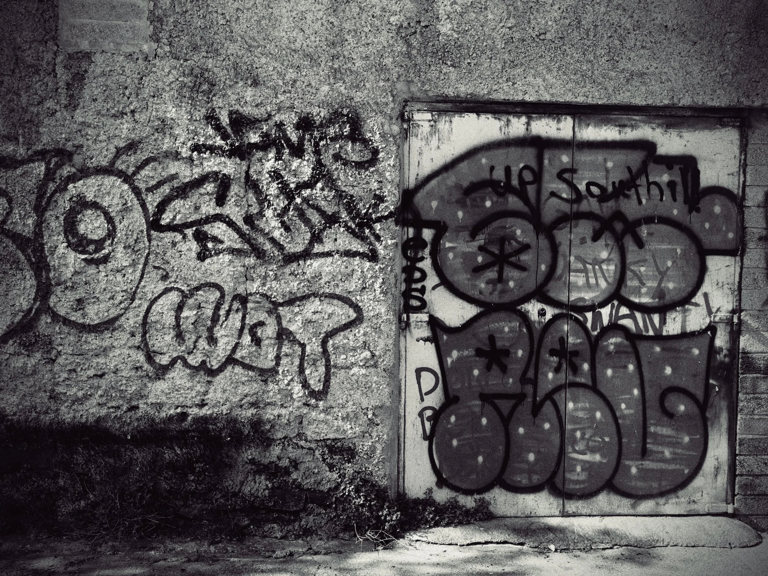 a649a62a-0021-4662-9d27-77f1698092df-1_all_4239.jpg