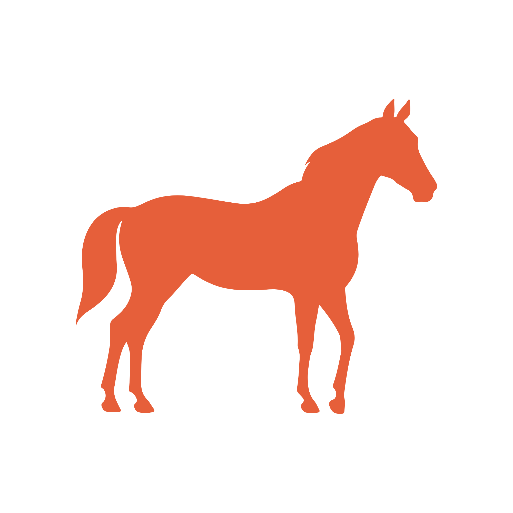 An icon of a horse