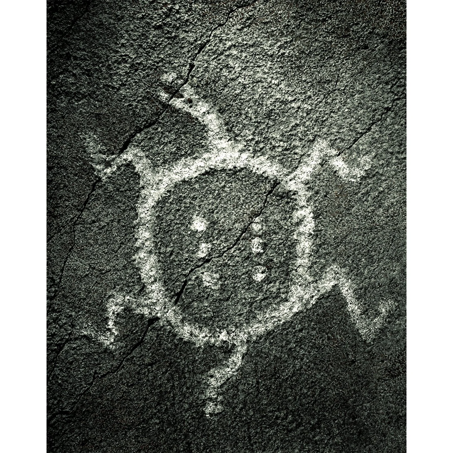 Tortoise Petroglyph, Mojave Desert, CA, 2006   Print Info and Pricing   
