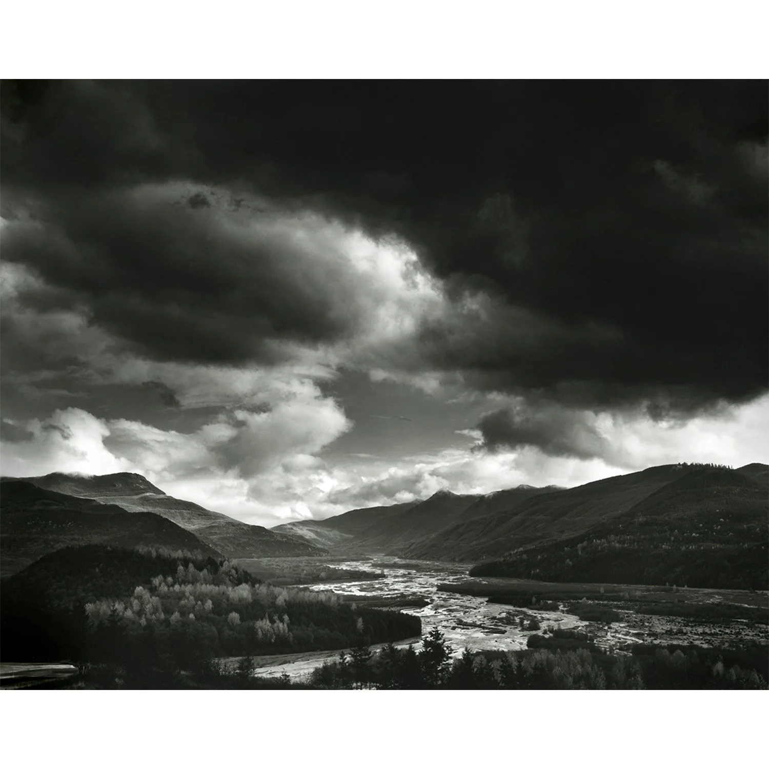 Toutle River Valley, WA, 2007   Print Info and Pricing   