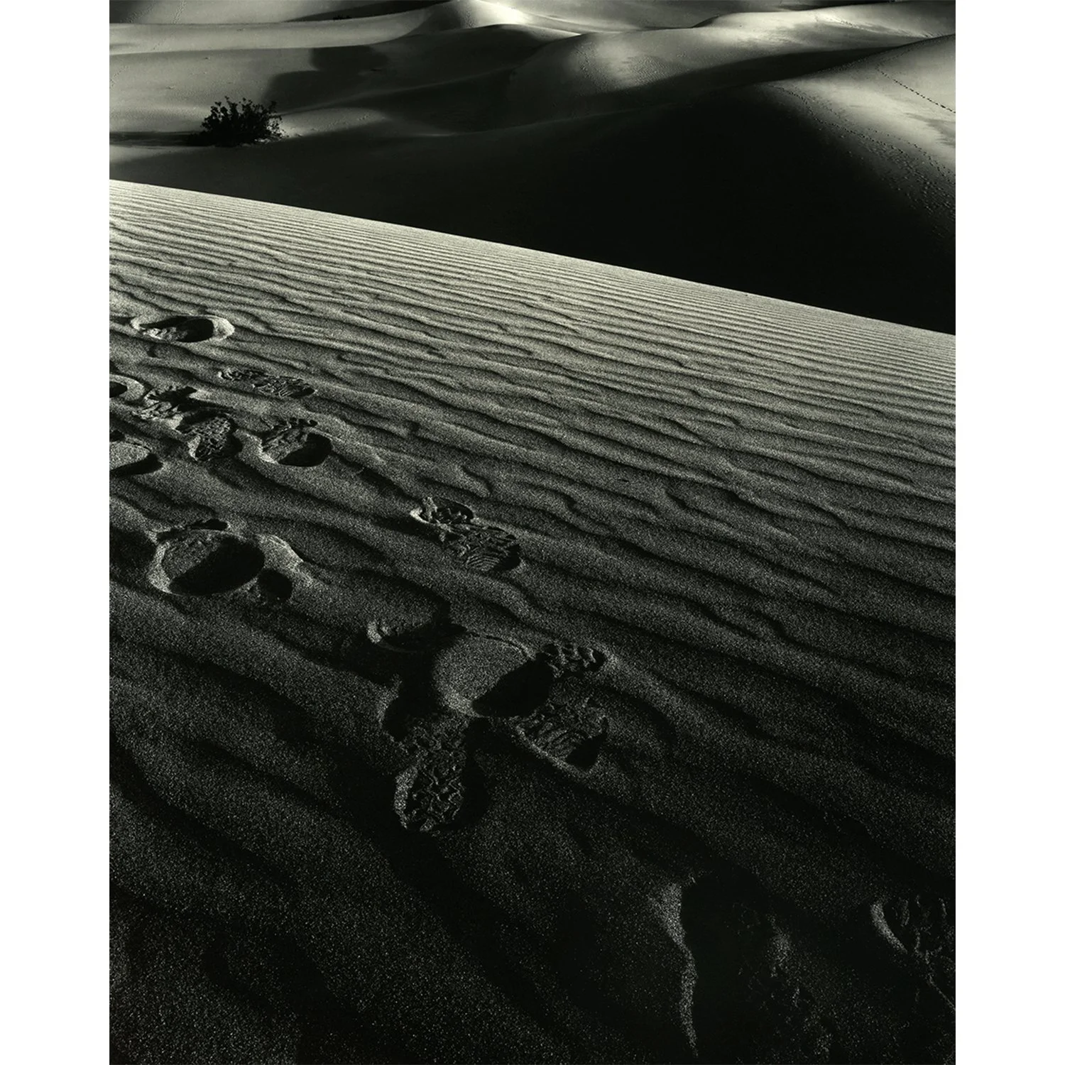 Dunes 2, Death Valley, CA, 2007   Print Info and Pricing   