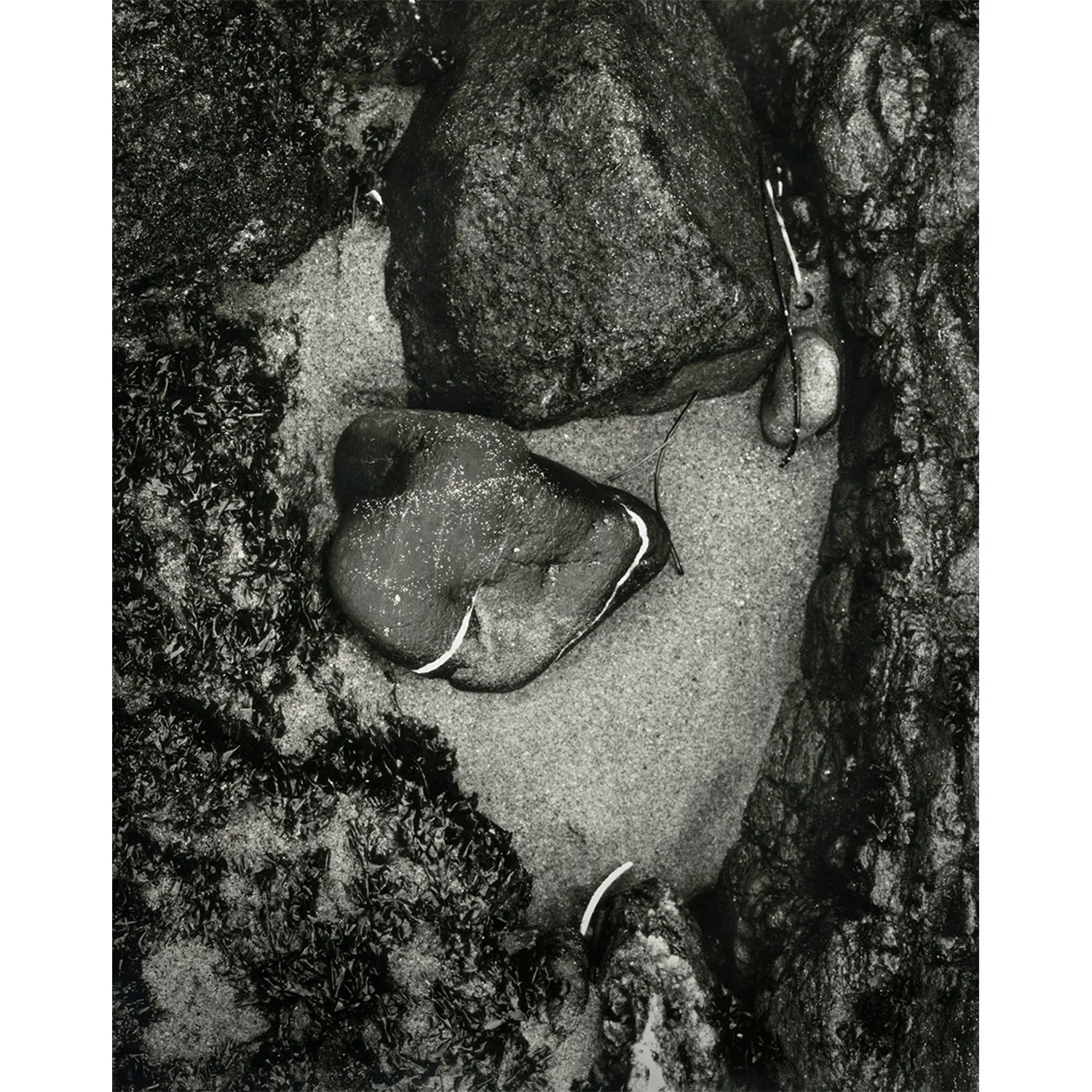 Rocks and Sand, Malibu, CA, 2012   Print Info and Pricing   