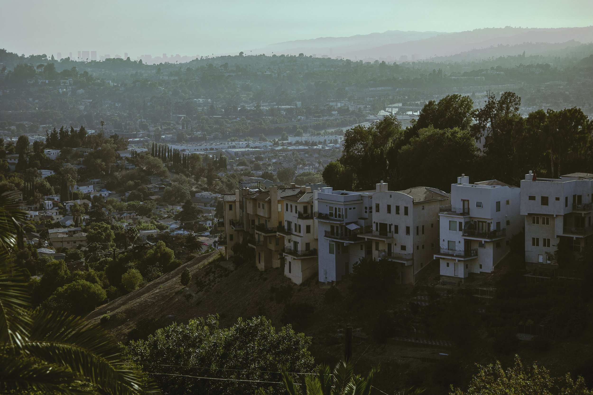 LandSc3NoBlac line.jpg