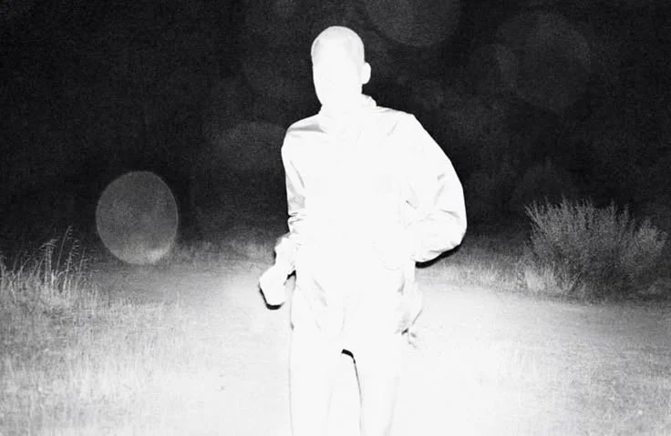 Everything Comes to Light