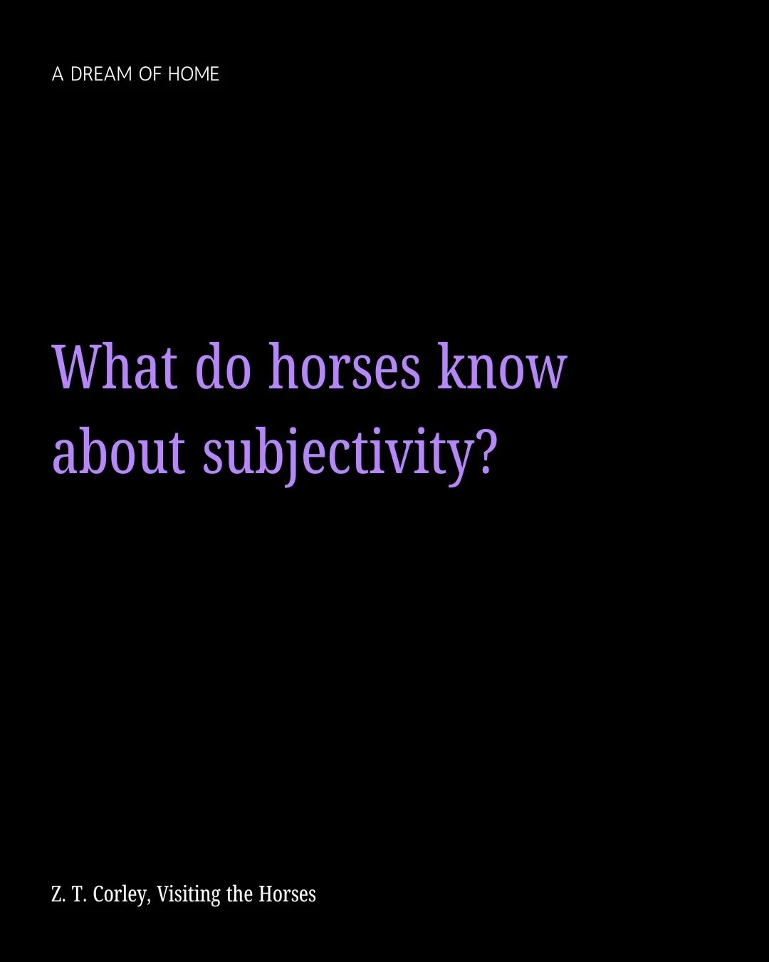 &ldquo;There are questions I choose to leave hanging on the clothesline of innocence.&rdquo;

Words from &ldquo;Visiting the Horses,&rdquo; one of Z. T. Corley&rsquo;s four poems originally published in our inaugural issue, A Dream of Home 🧺

Read t