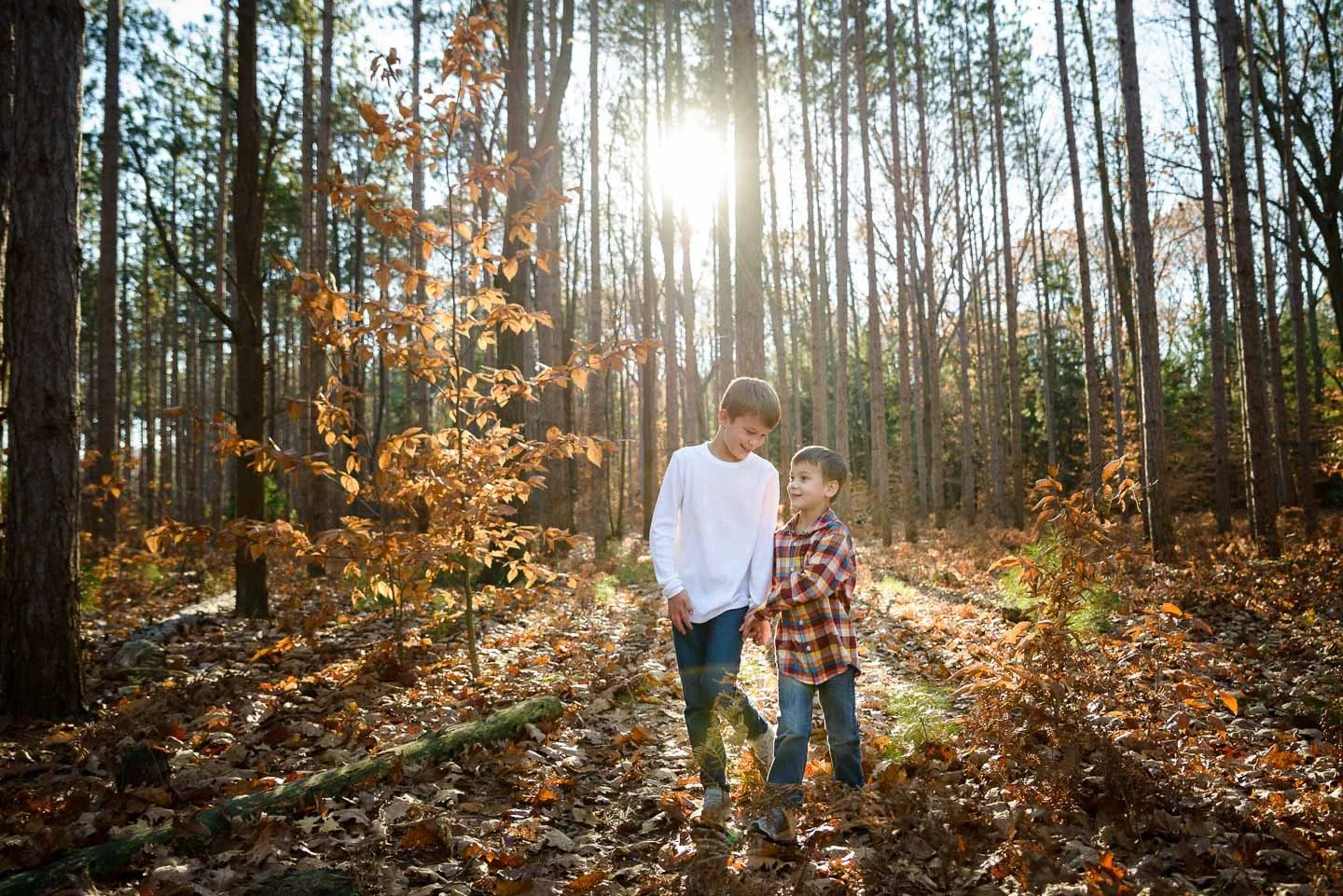 Two boys walking in a forest during autumn, with sunlight shining through the trees and fallen leaves on the ground.