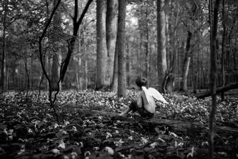 A young child wearing angel wings sitting on a fallen log in a forest, surrounded by trees and fallen leaves.