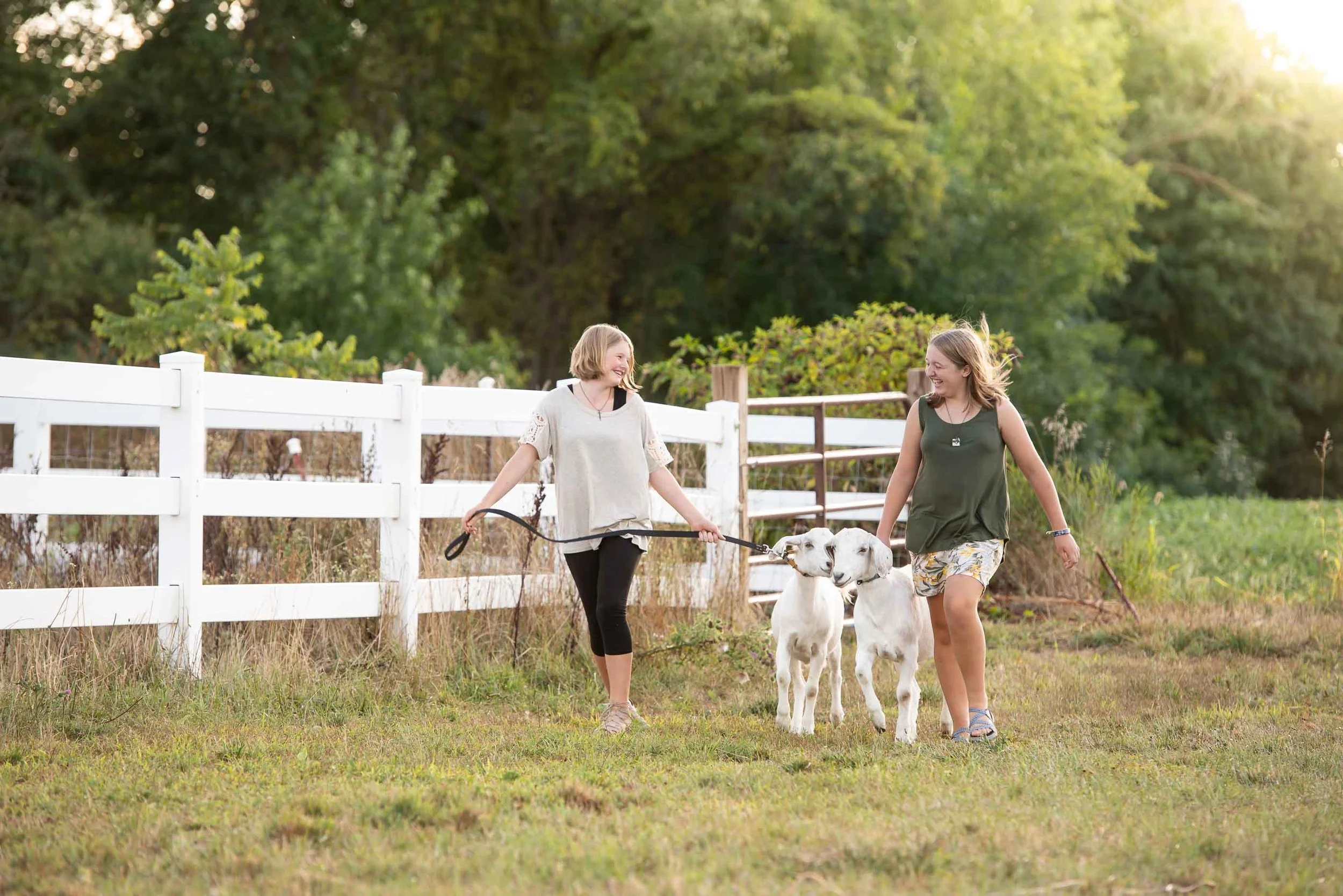 Two girls walk two goats on leashes in a grassy field near a white fence, smiling and enjoying their time outdoors.