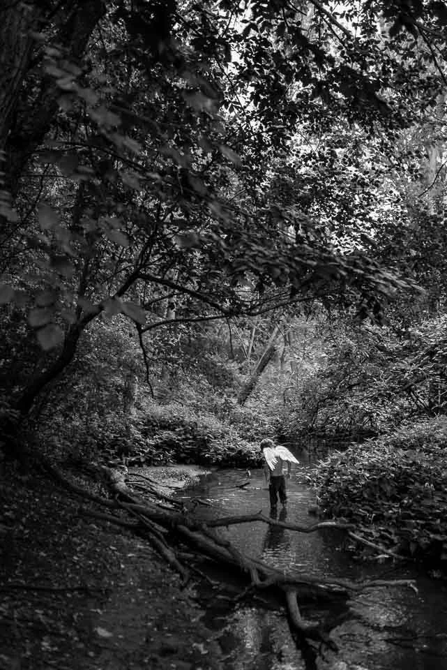 A person with wings standing in a creek surrounded by dense trees and foliage in a forest.