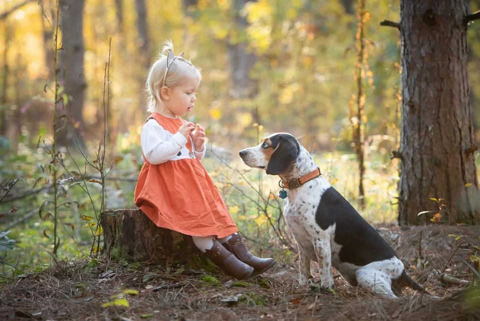 A young girl sitting on a tree stump in a forest, talking to a black and white dog sitting in front of her during daytime with sunlight filtering through the trees, autumn foliage in the background.