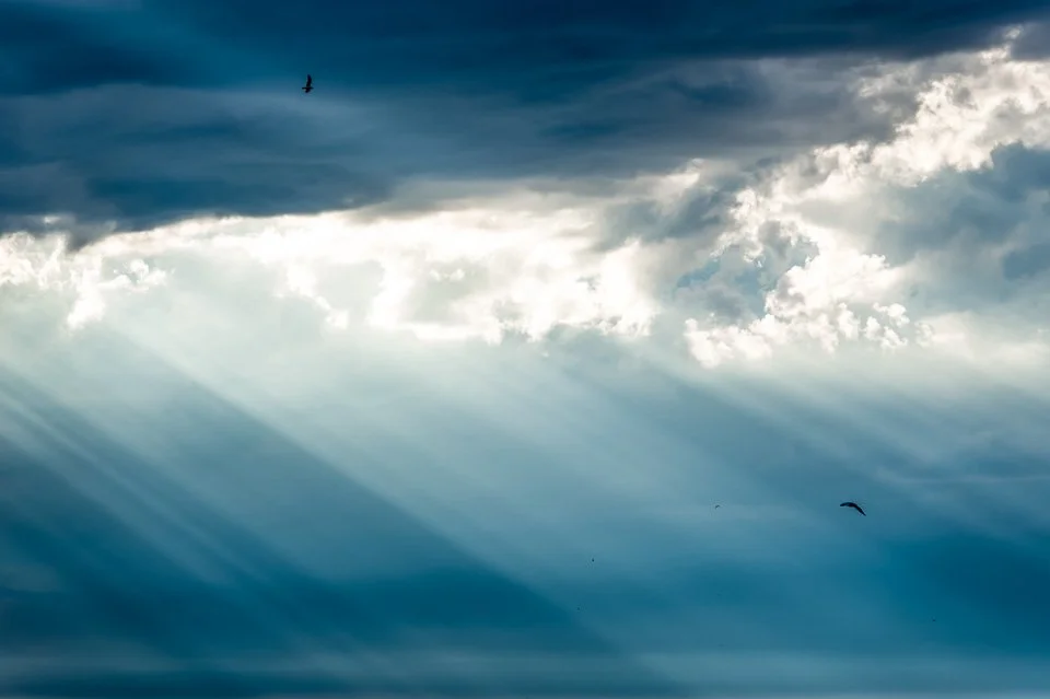 Cloudy sky with sun rays breaking through and several birds flying.