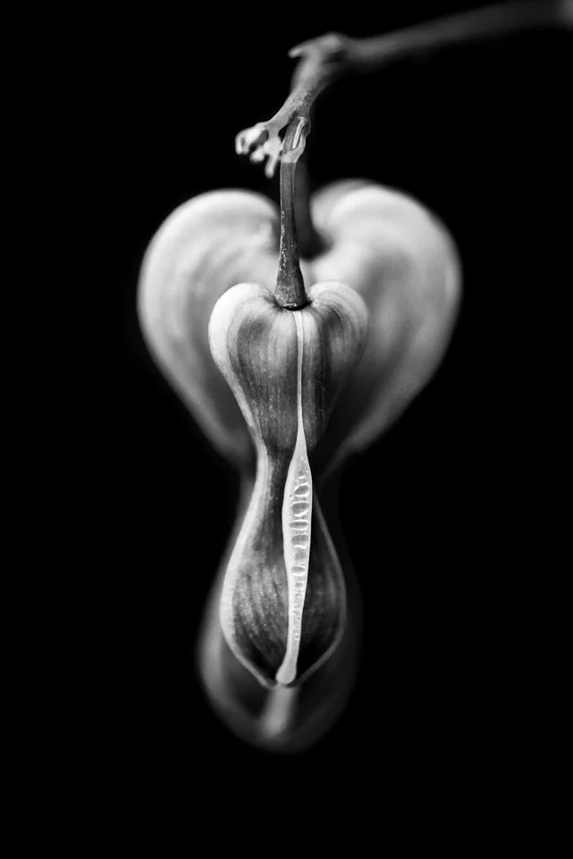 Close-up of an apple with a stem that resembles a human face with a long, white, textured tear running down its center, in black and white.