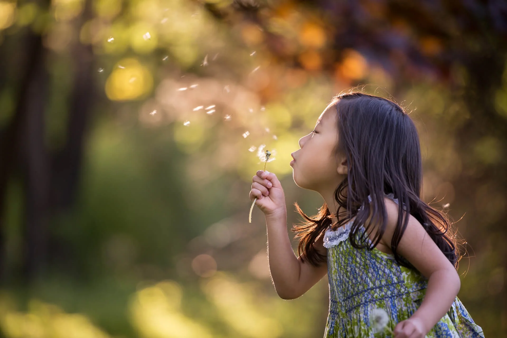 Young girl blowing dandelion seeds outdoors in a park or garden during daytime, surrounded by blurred Autumn trees.