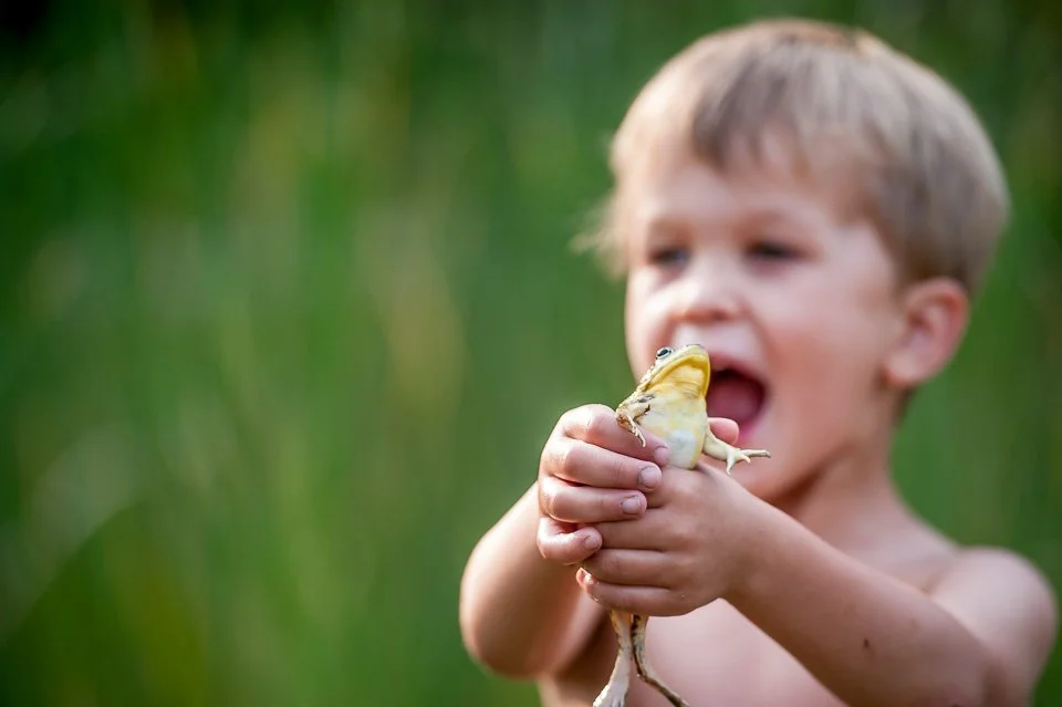 A young boy holding a frog outdoors, with a blurred green background.