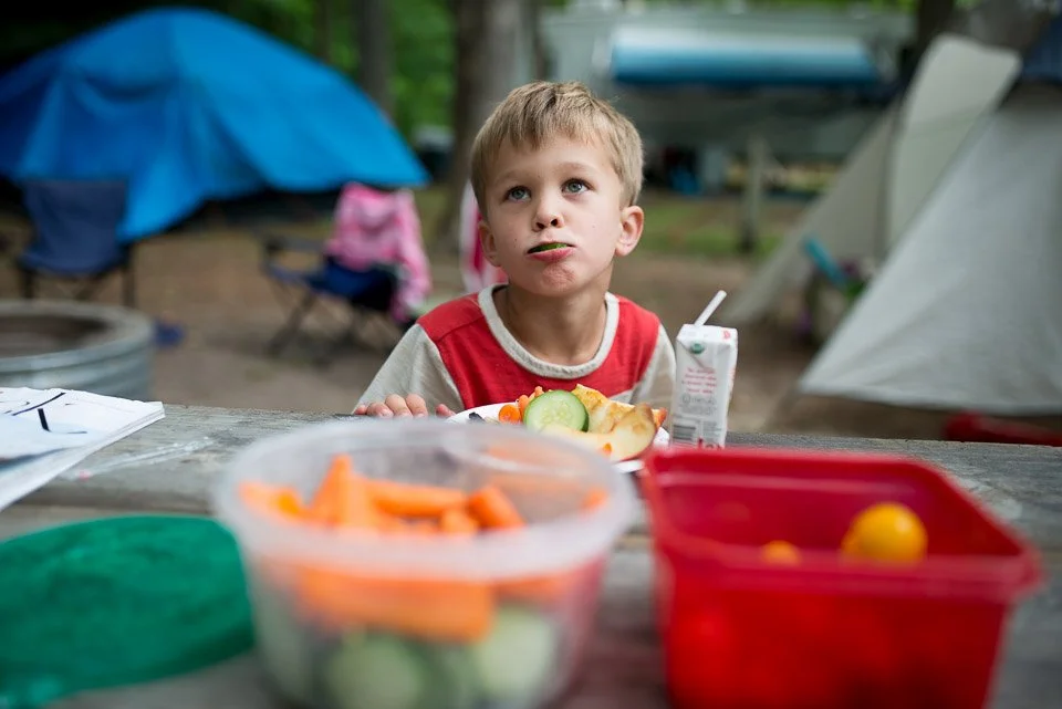 A young boy with short blond hair and a red and white shirt sits at a picnic table with a plate of food including cucumbers, cherry tomatoes, and bread in front of him. In the foreground, there are containers with carrots and yellow tomatoes. The bac