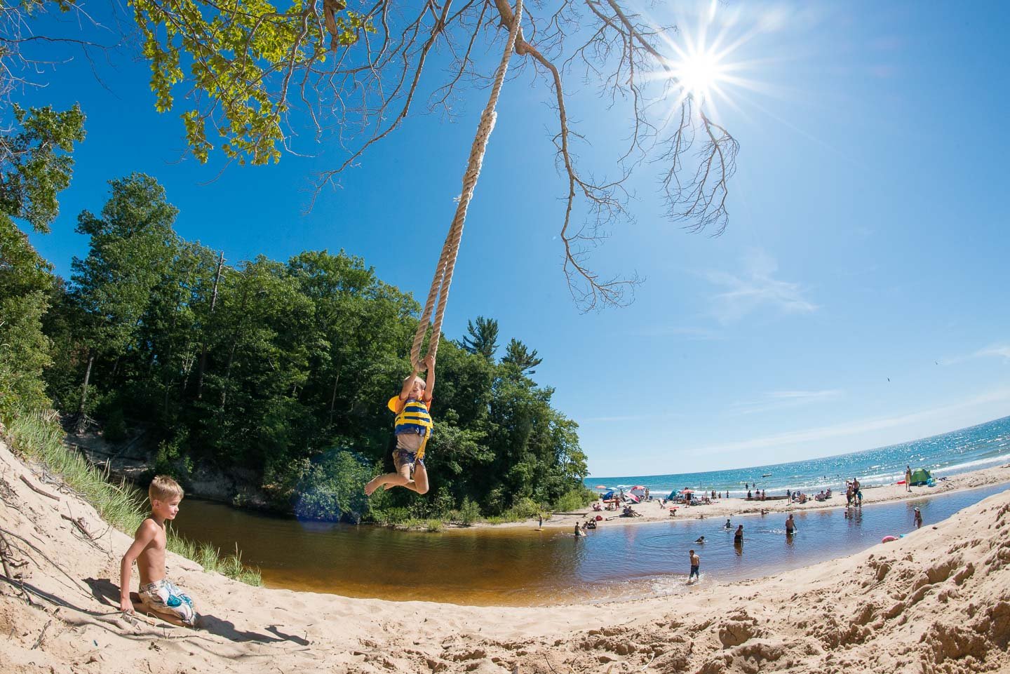 Children playing on a sunny beach with a rope swing hanging from a tree, people swimming and relaxing by the ocean, with a clear blue sky and sunlight.