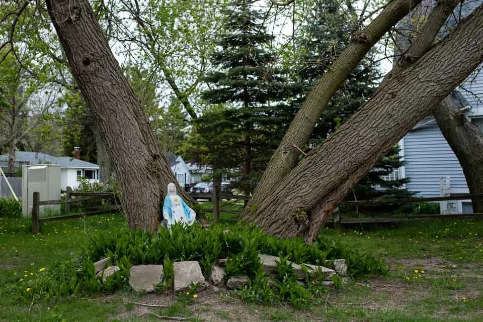A garden with two leaning trees, green grass, and a statue of the Virgin Mary surrounded by plants and rocks, with houses in the background.