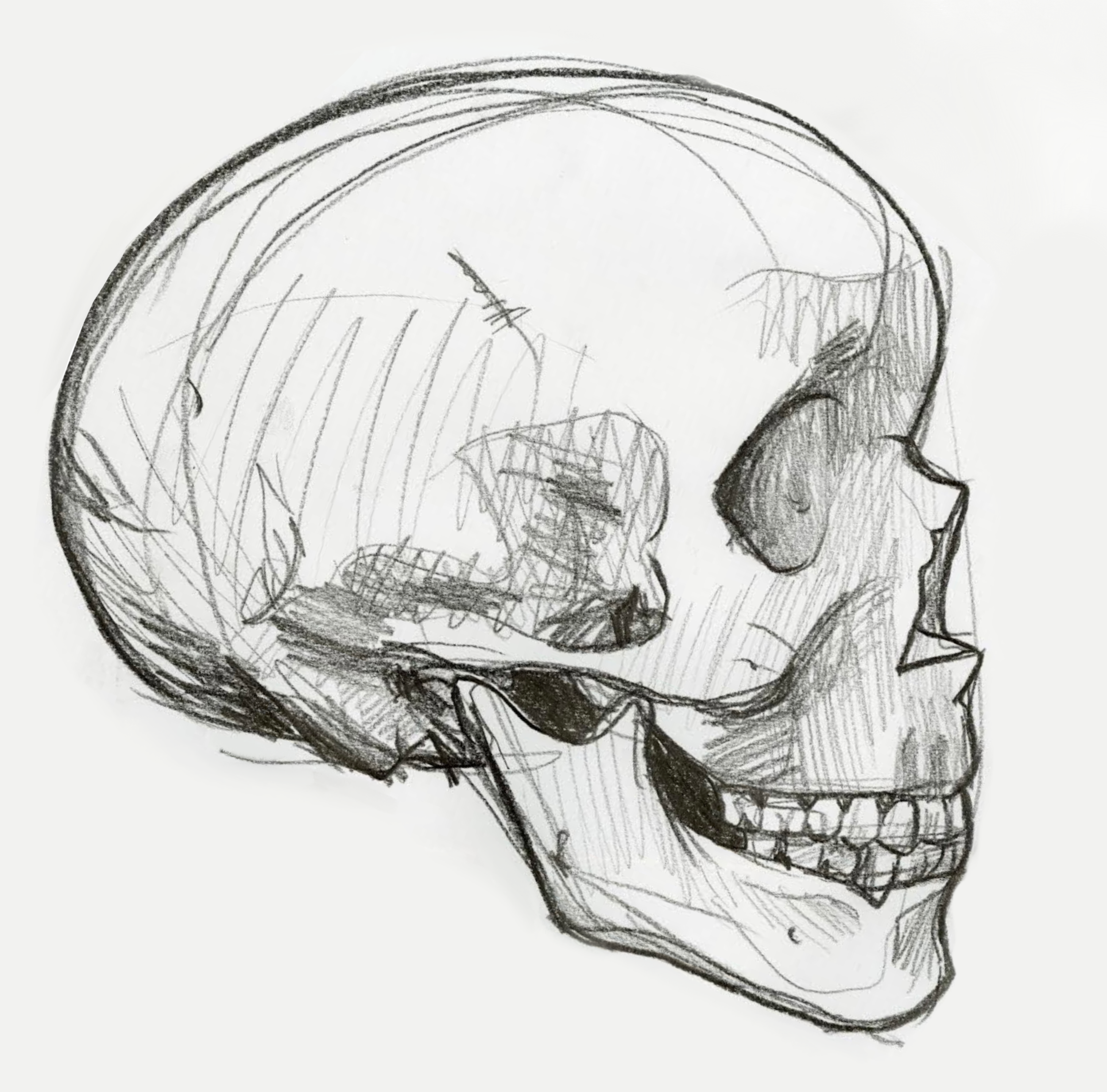 Untitled_Artwork 4 copy 6.png