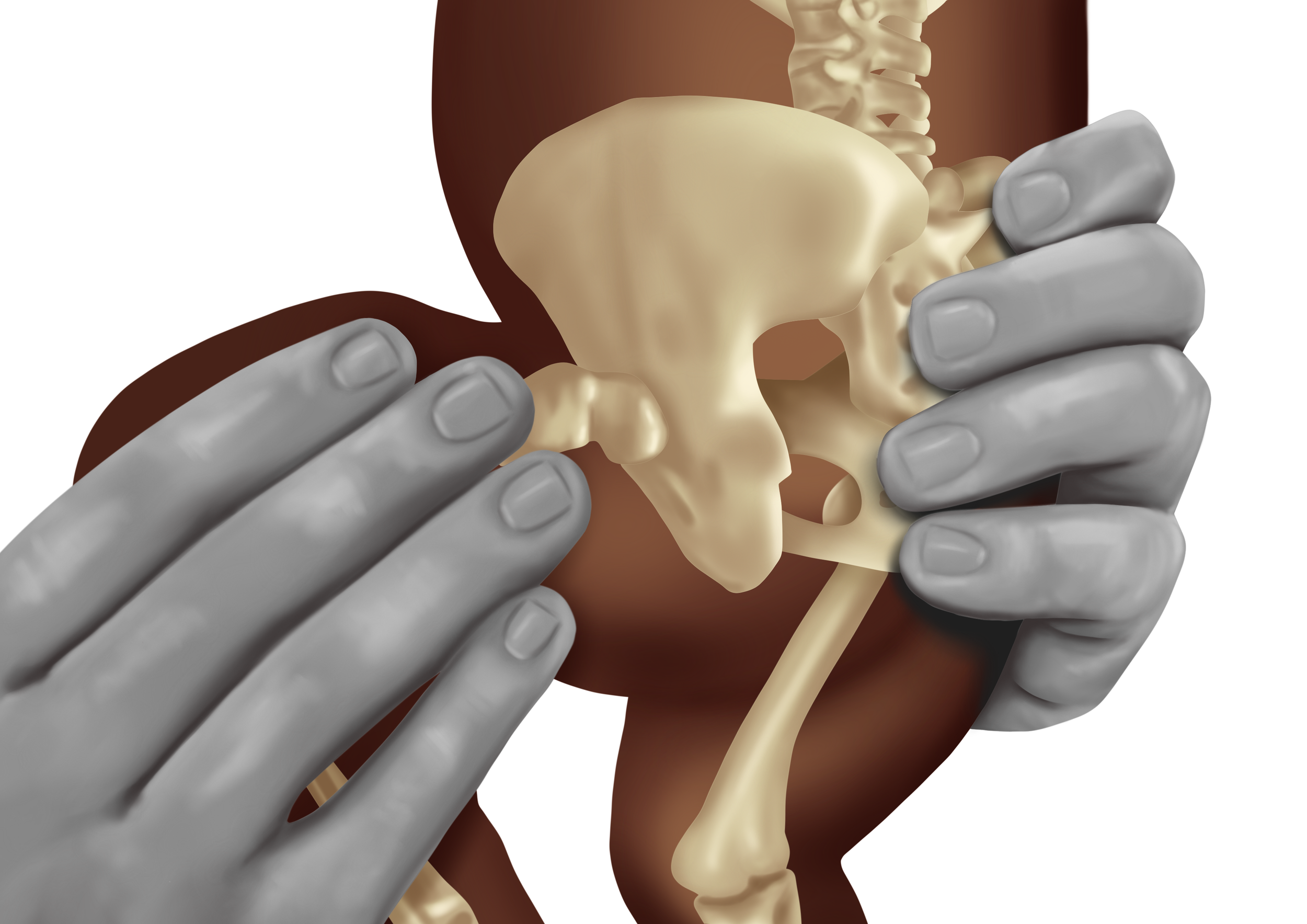 Untitled_Artwork 1 copy.png