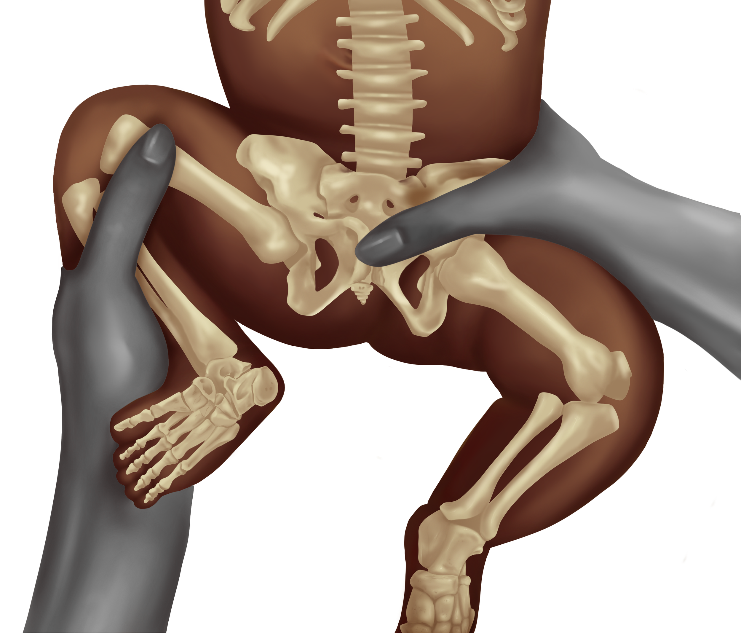 Untitled_Artwork copy.png