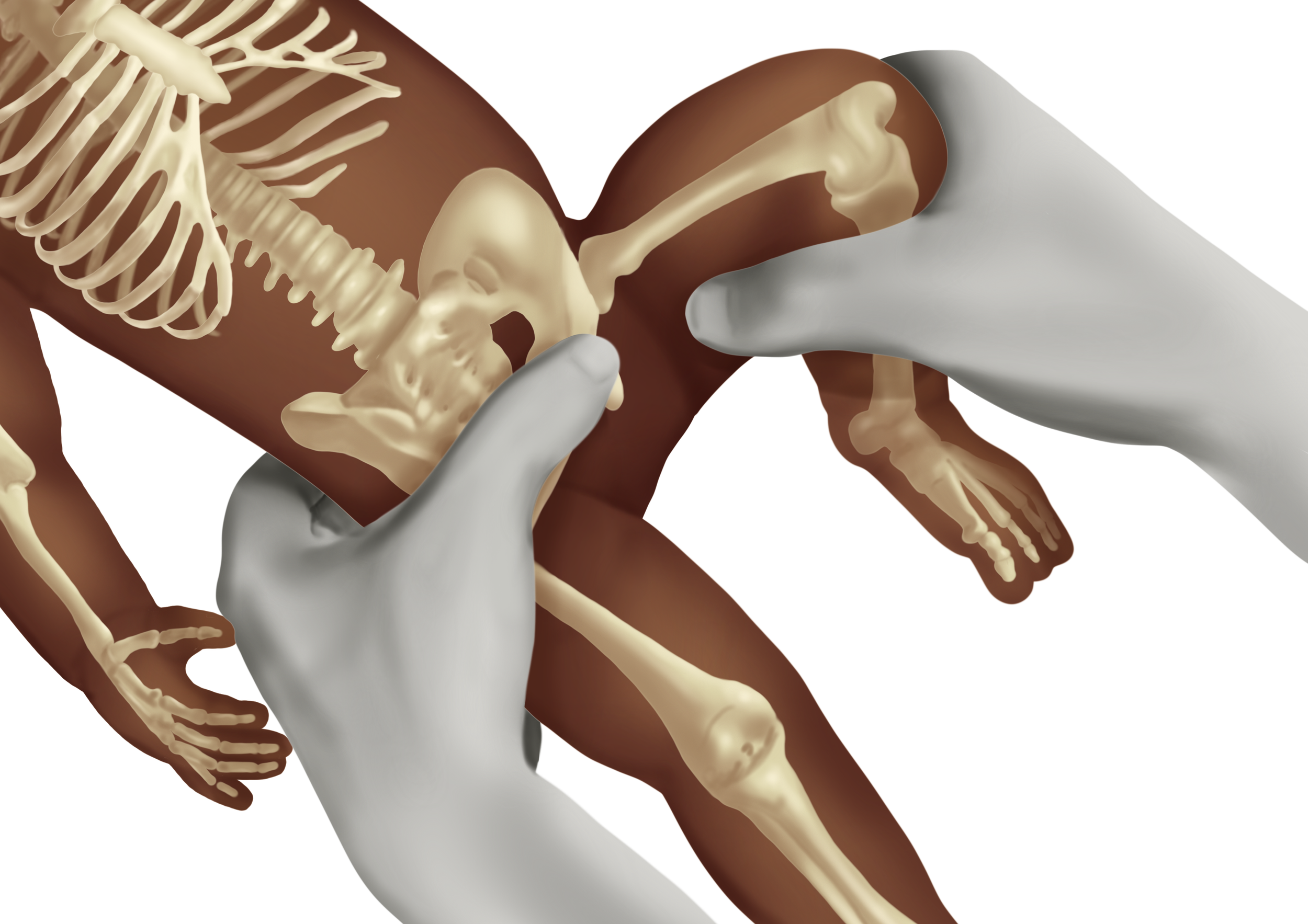 Untitled_Artwork 12.png