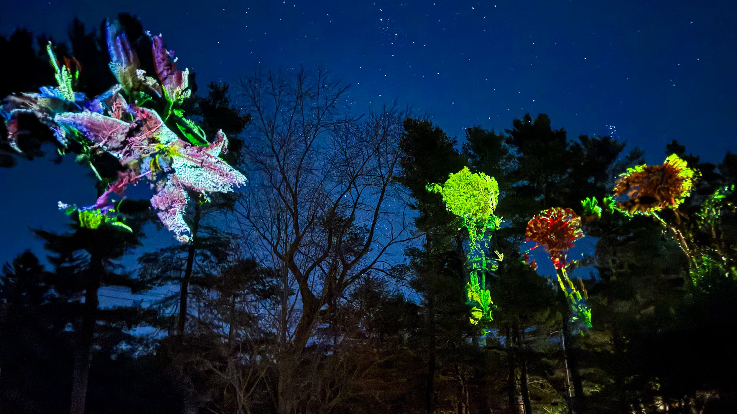 Sky Garden,    Rest Stop Ranch, Topsfield MA USA 2025