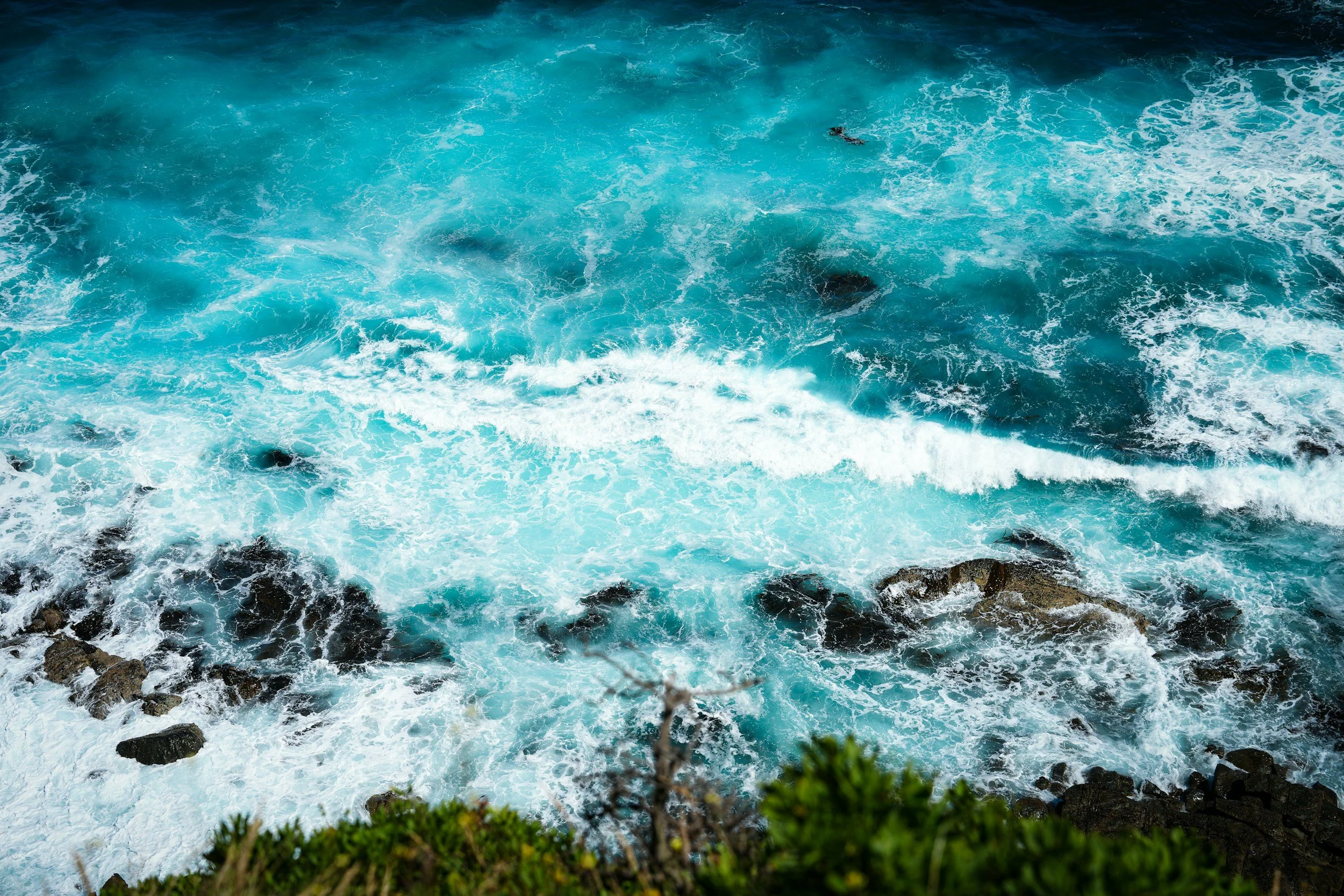 Ocean waves crashing against rocks with green foliage at the bottom of the image