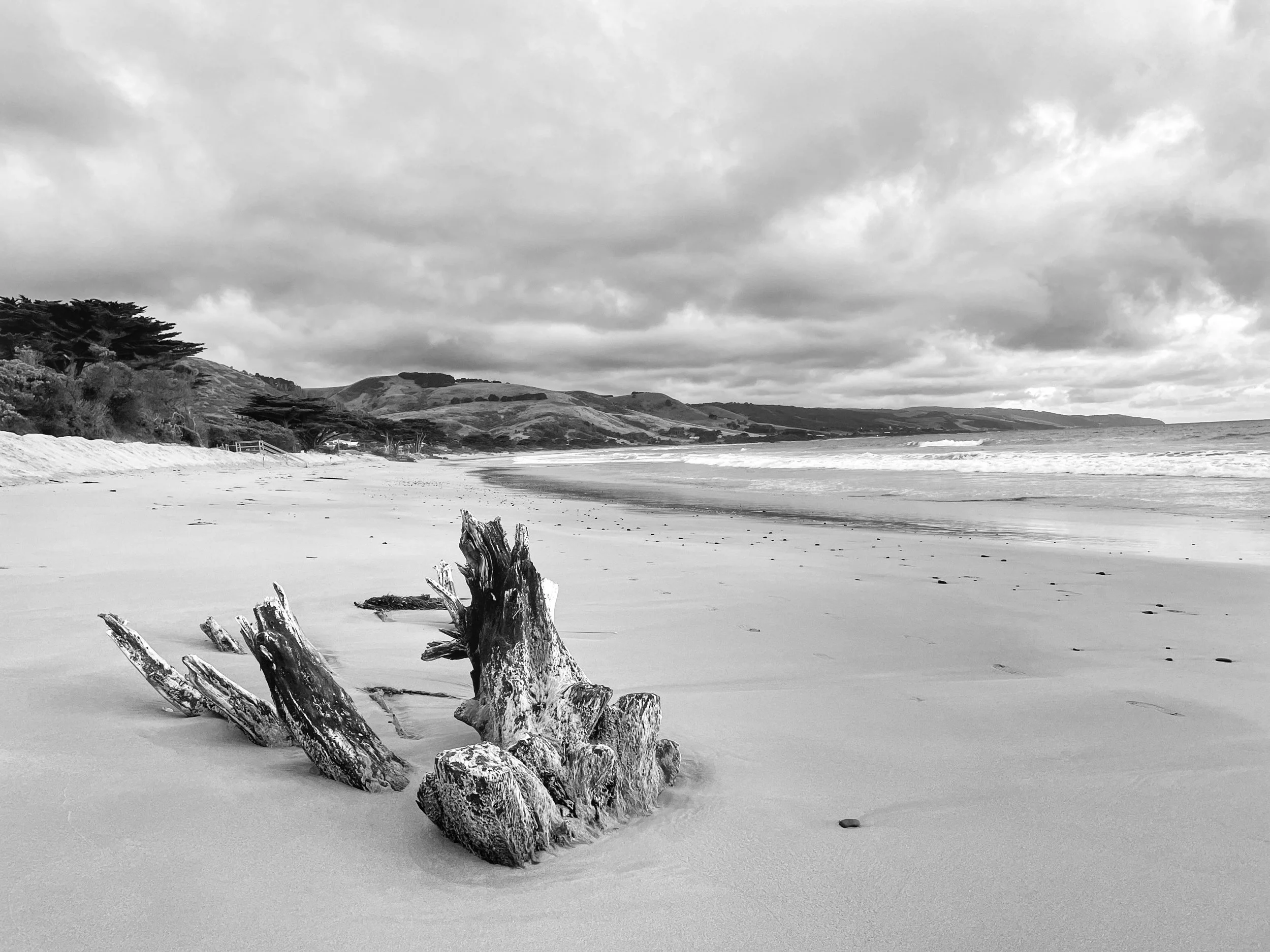 Black and white photograph of a beach with scattered driftwood, rolling waves, overcast sky, and distant hills.
