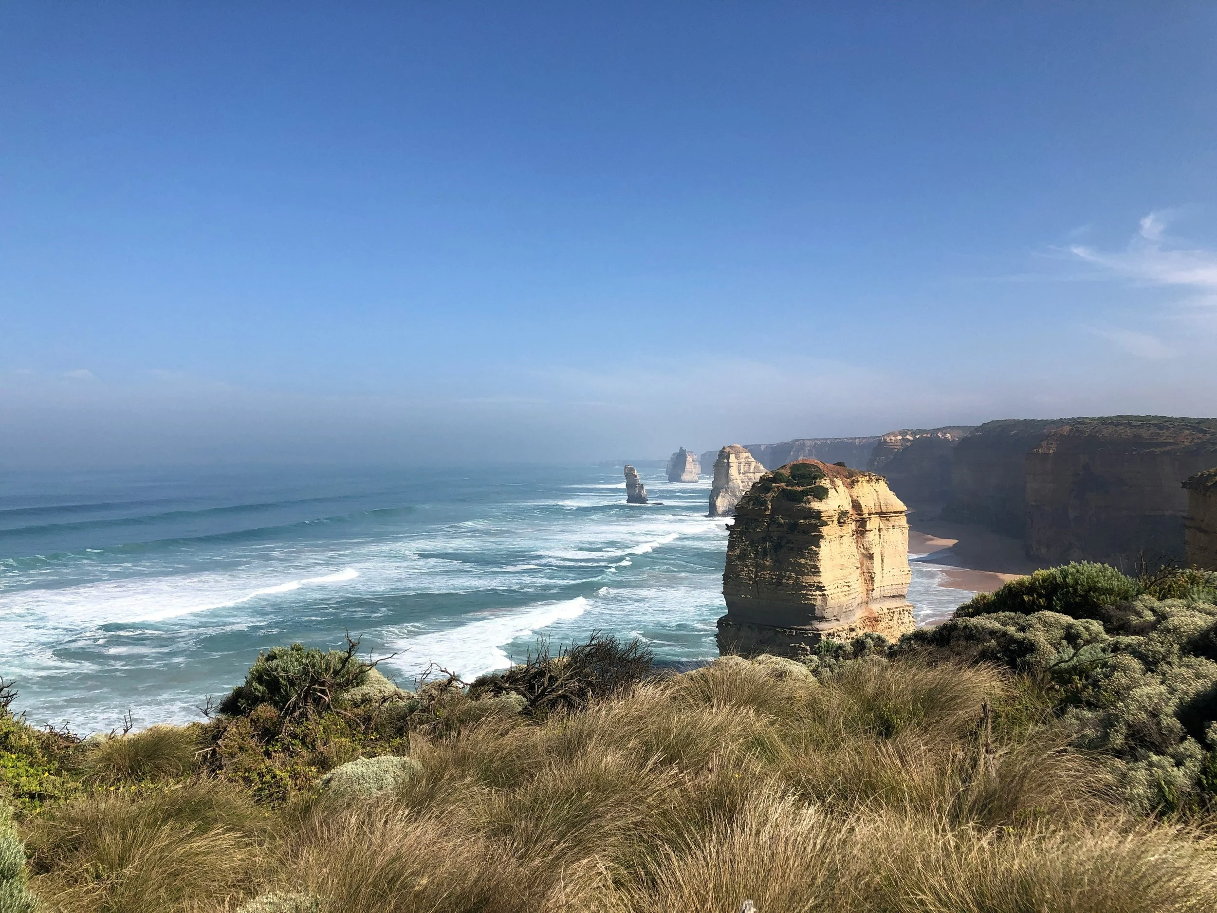 Cliffside view of the Twelve Apostles limestone stacks along the Great Ocean Road in Australia, with waves crashing on the shore and sparse vegetation in the foreground.