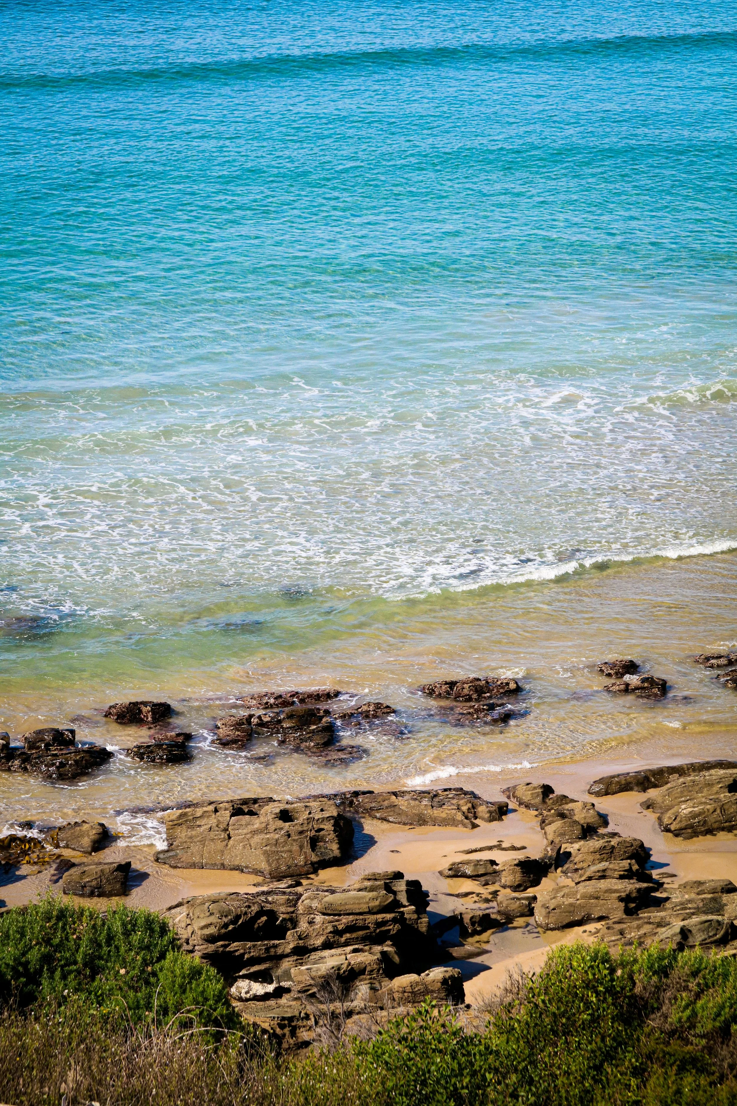 A scenic view of a rocky beach with clear blue water and green bushes in the foreground.