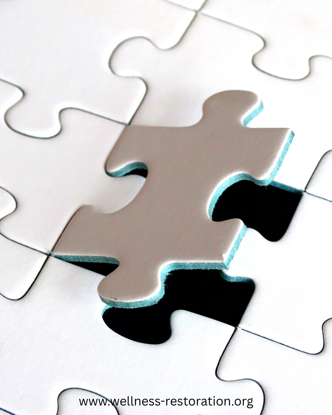 Jigsaw puzzle piece with the website www.wellness-restoration.org visible symbolizing finding the missing piece of your physical and mental wellness at Wellness Restoration in Jackson, MS.