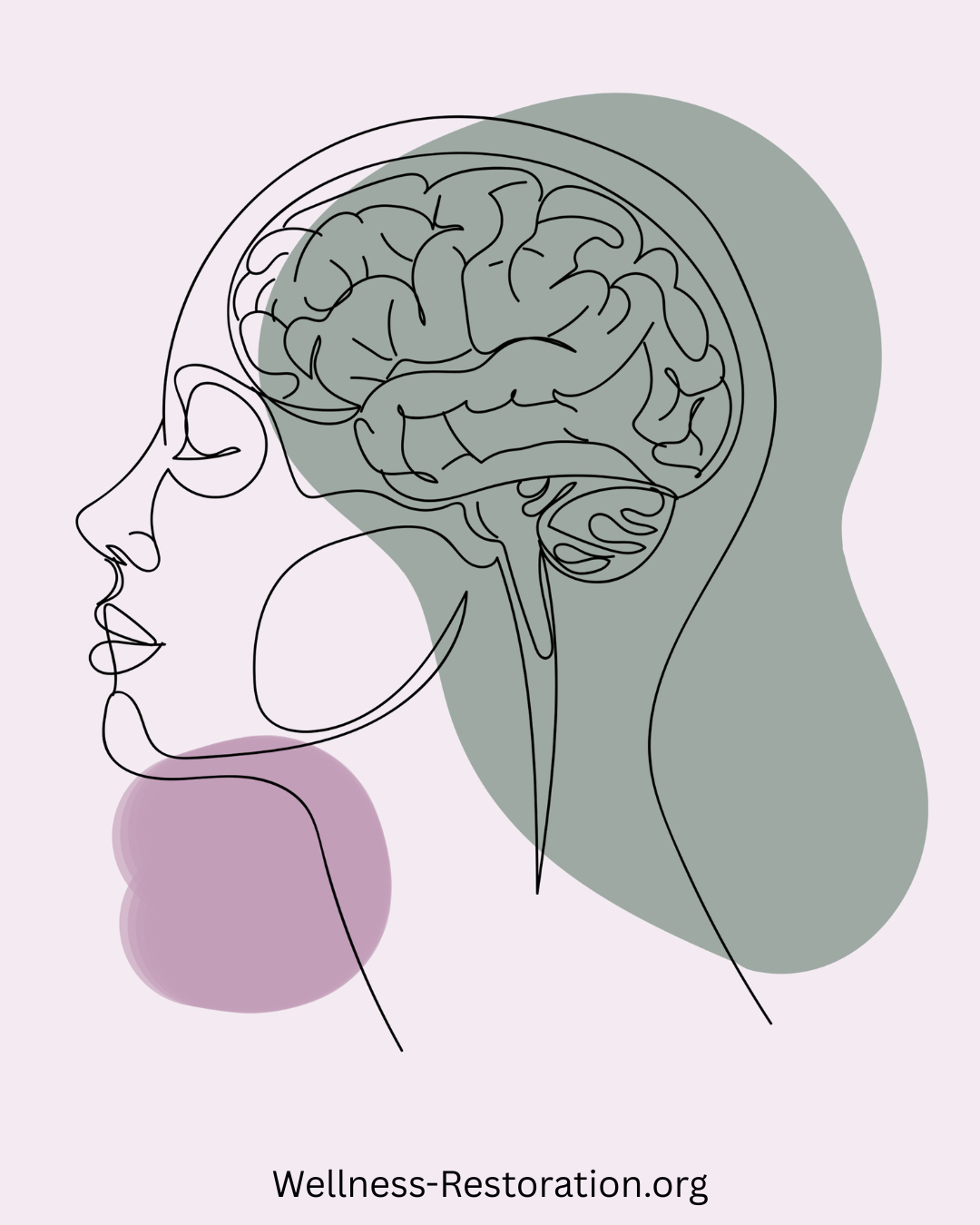 Line drawing of a woman's profile symbolizing Mississippi’s only LENS Neurofeedback provider serving the greater Jackson and surrounding areas at Wellness Restoration.